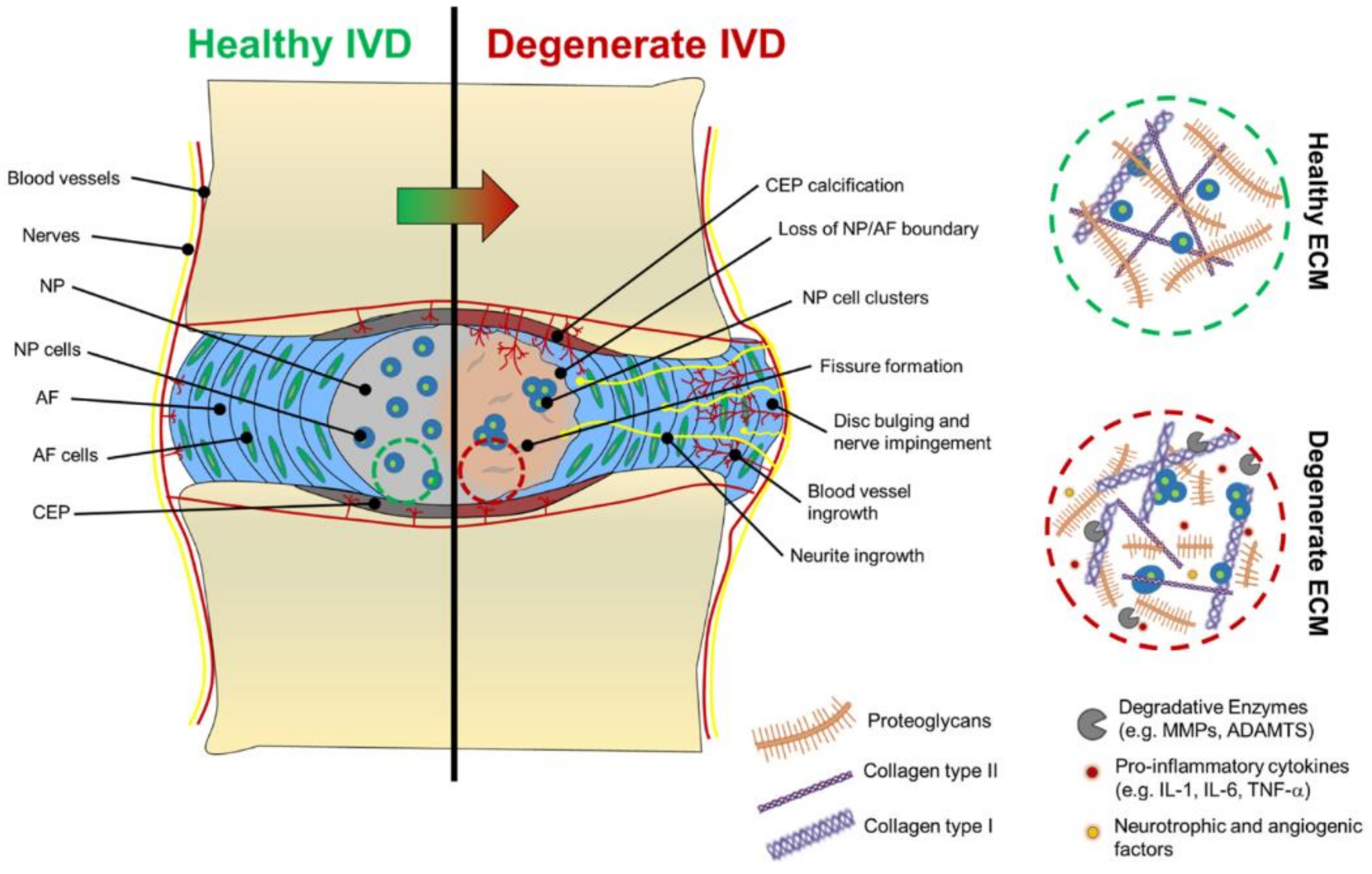 Ijms 23 06460 g002 550