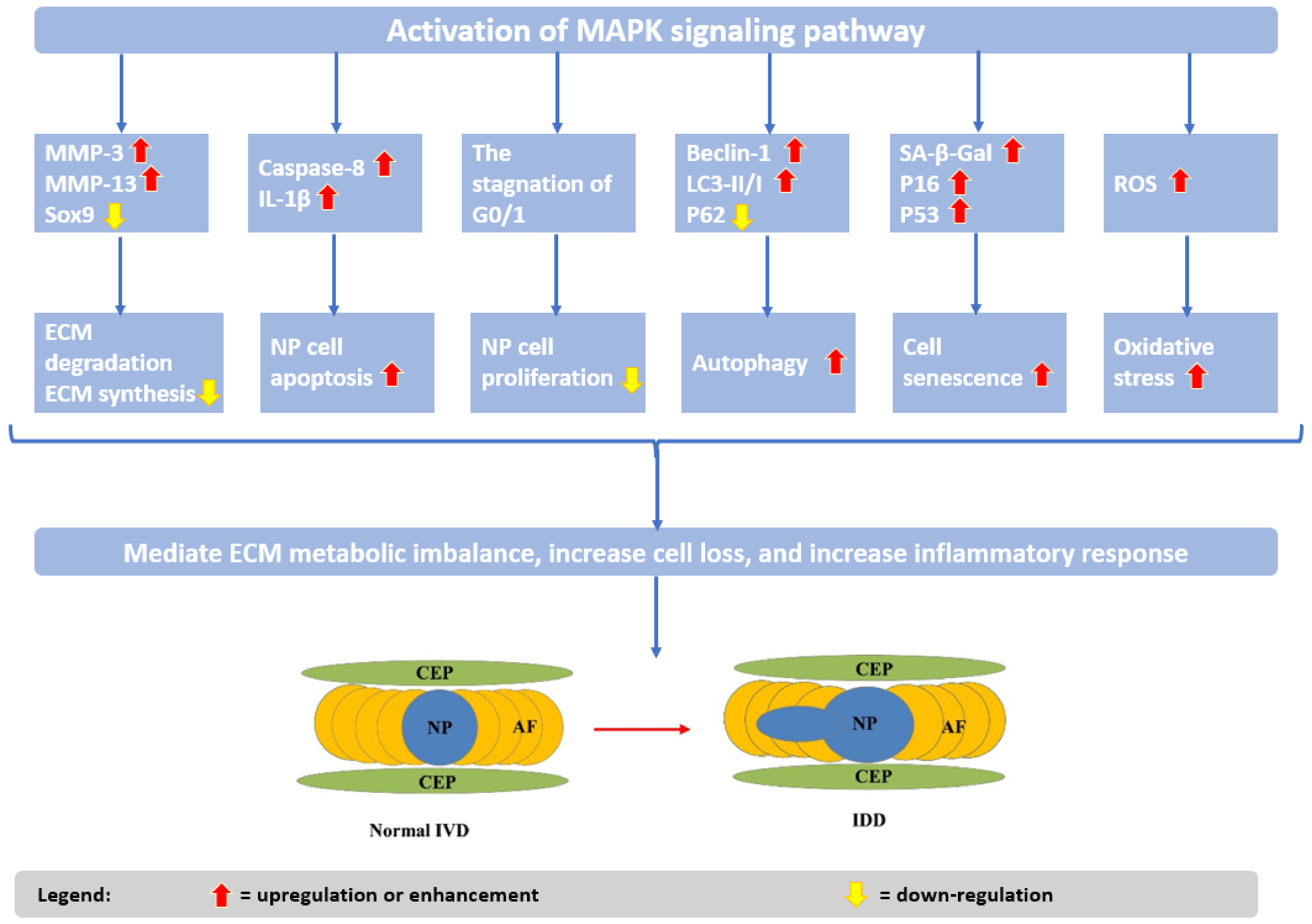 Ijms 23 06460 g003 550