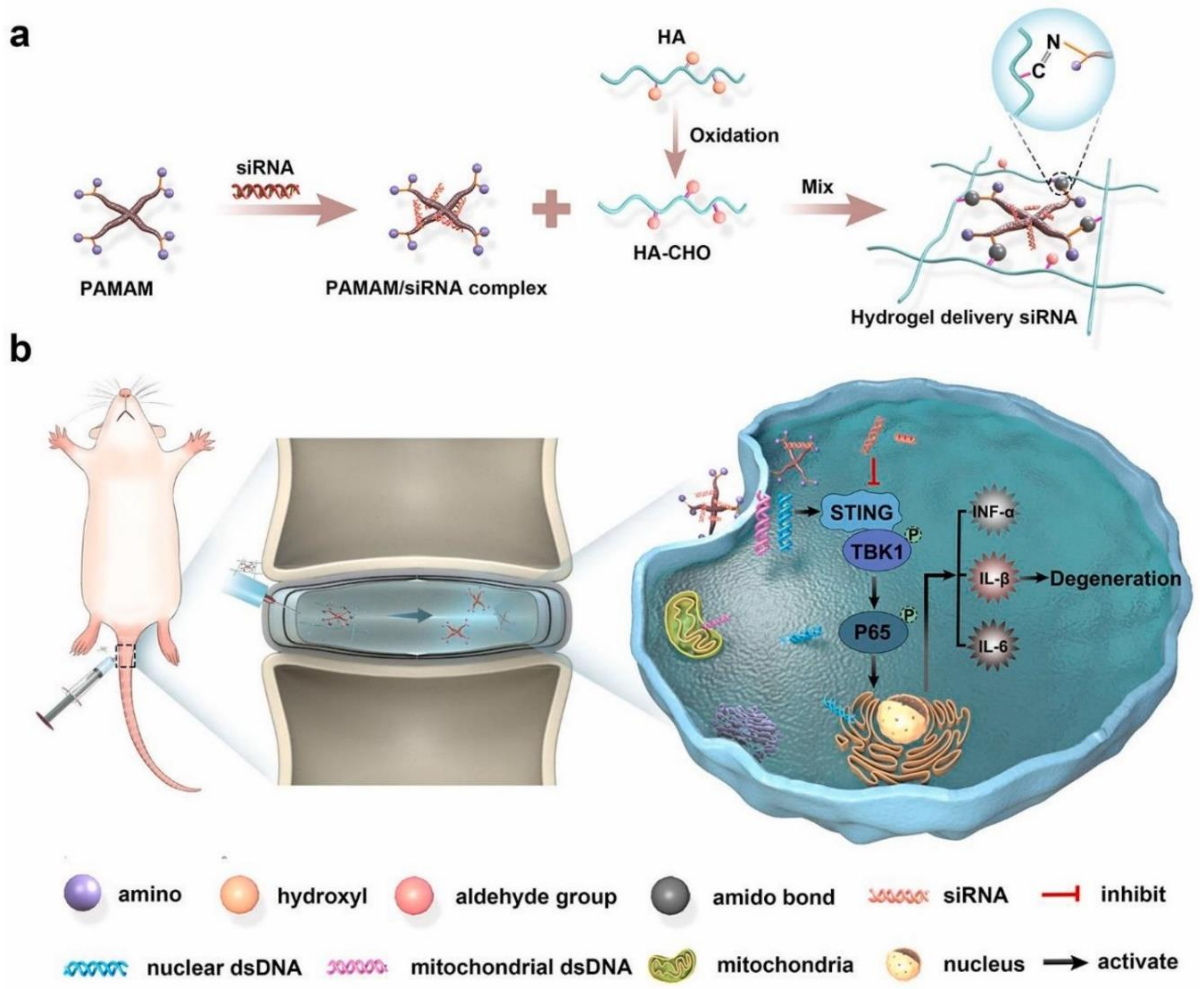 Ijms 23 06460 g006 550
