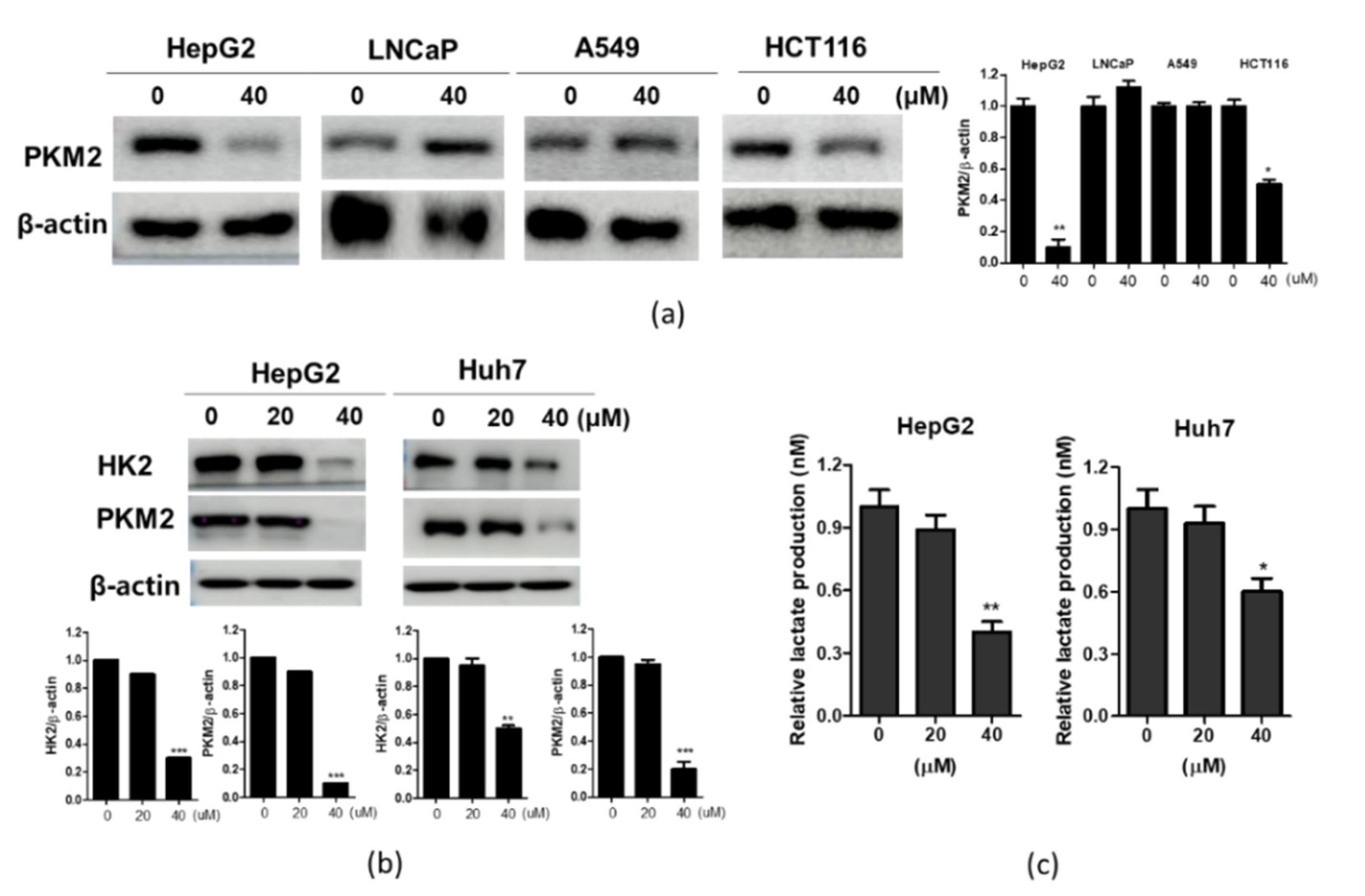 Ijms 23 06461 g003 550