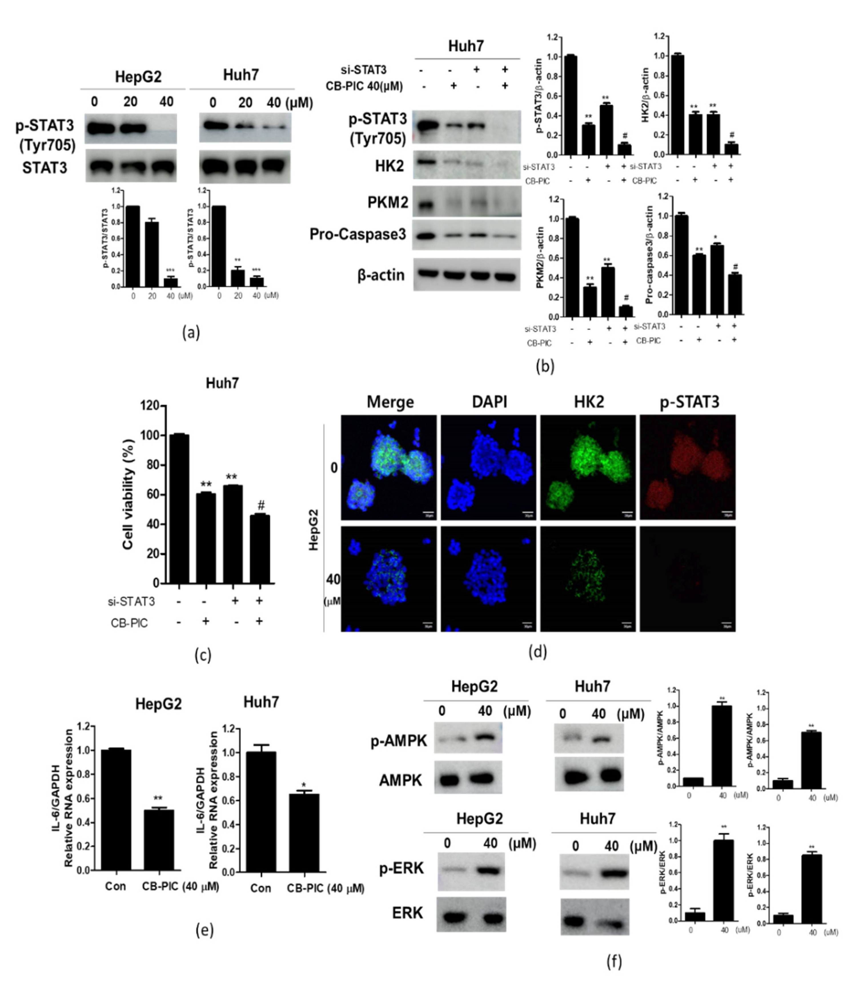 Ijms 23 06461 g004 550