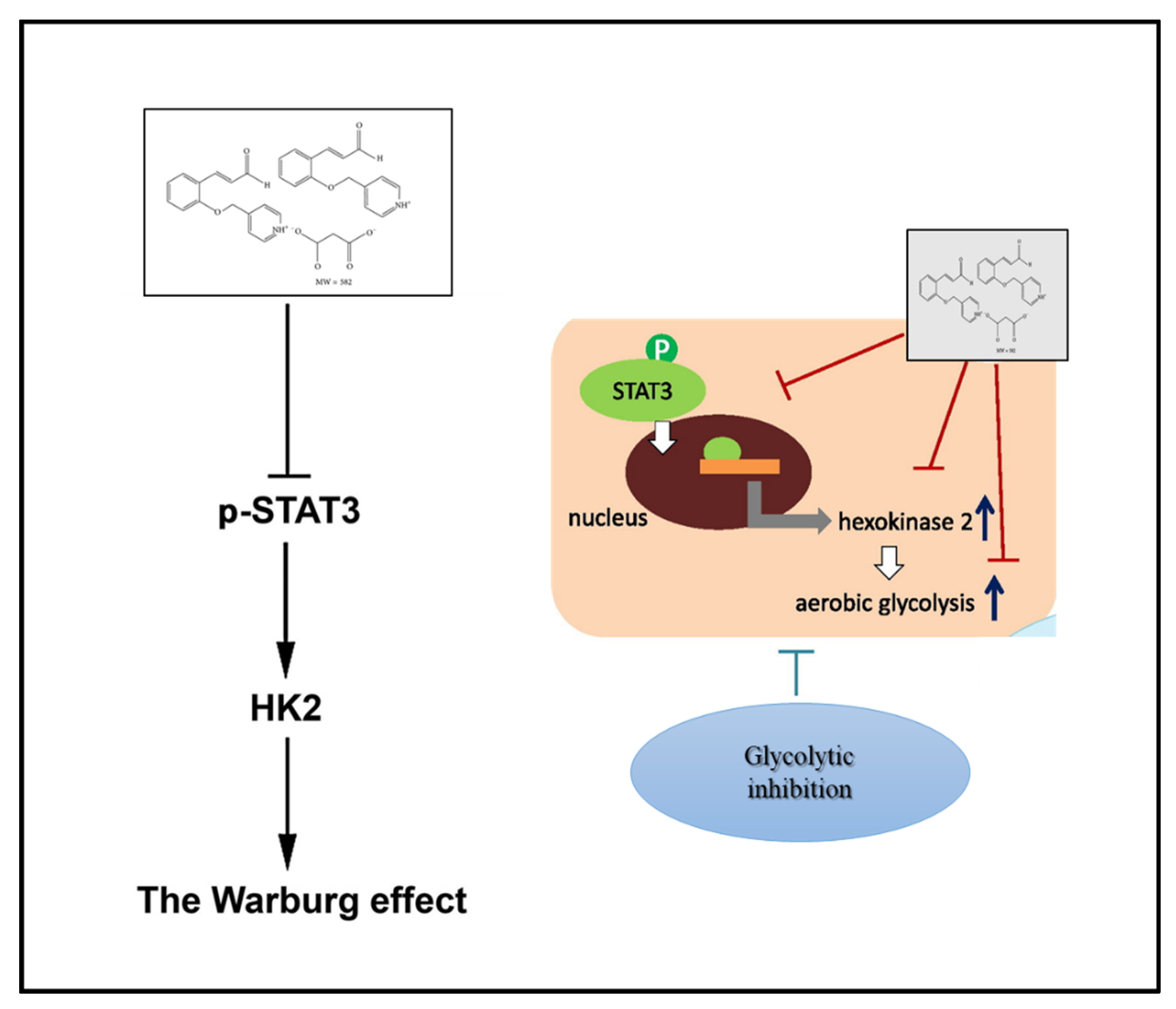 Ijms 23 06461 g006 550