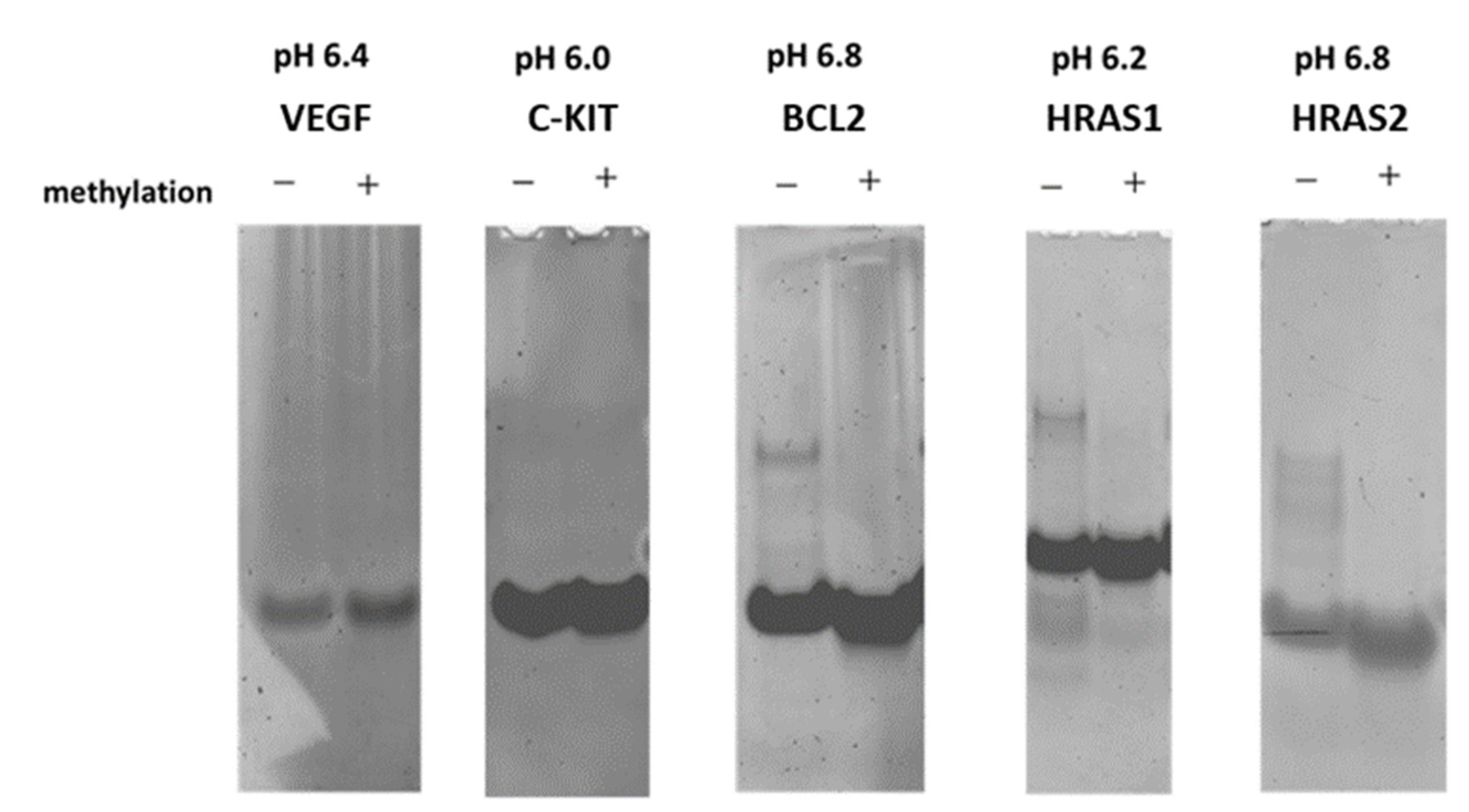 Ijms 23 06467 g002 550