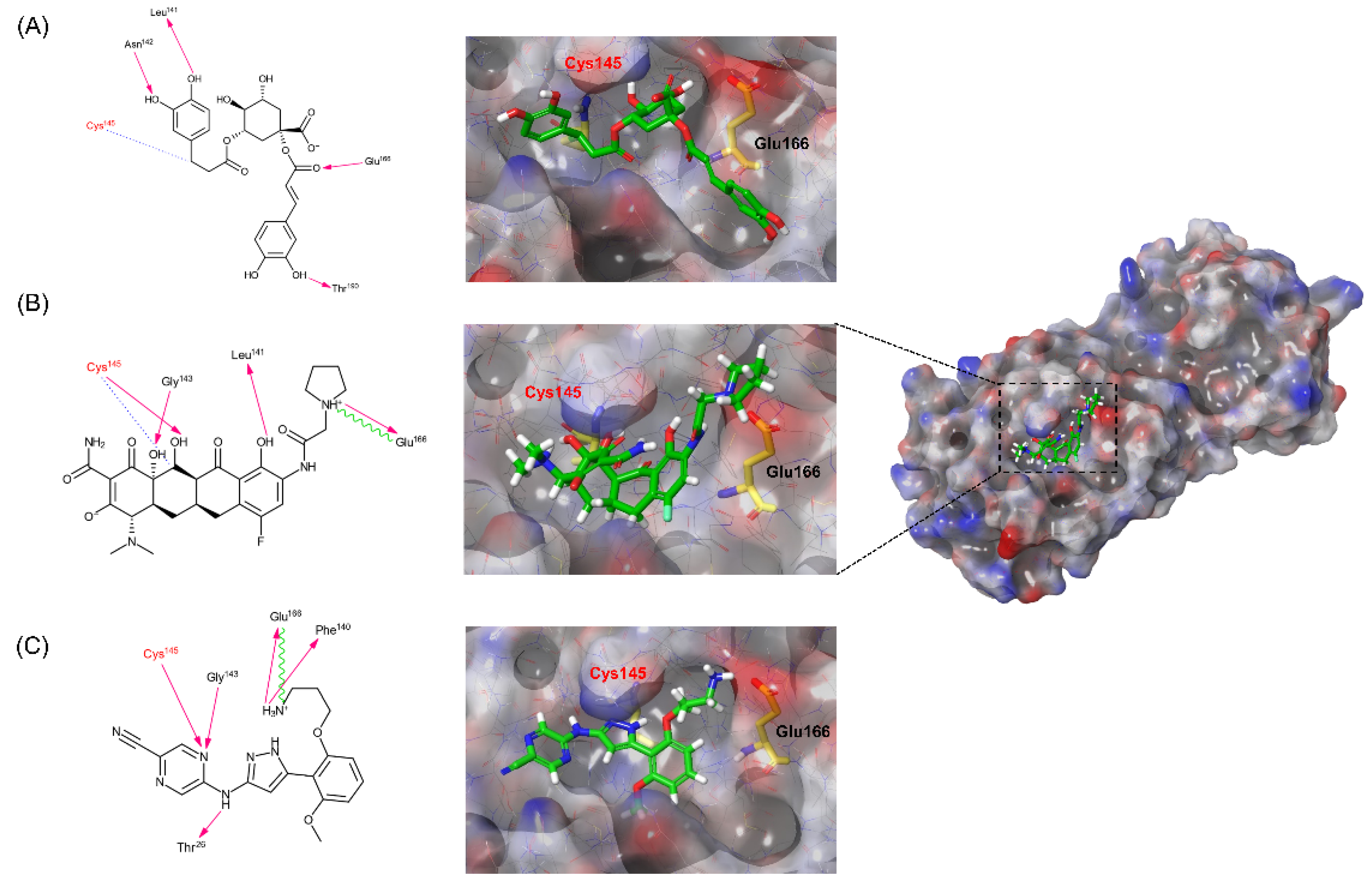 Ijms 23 06468 g004 550