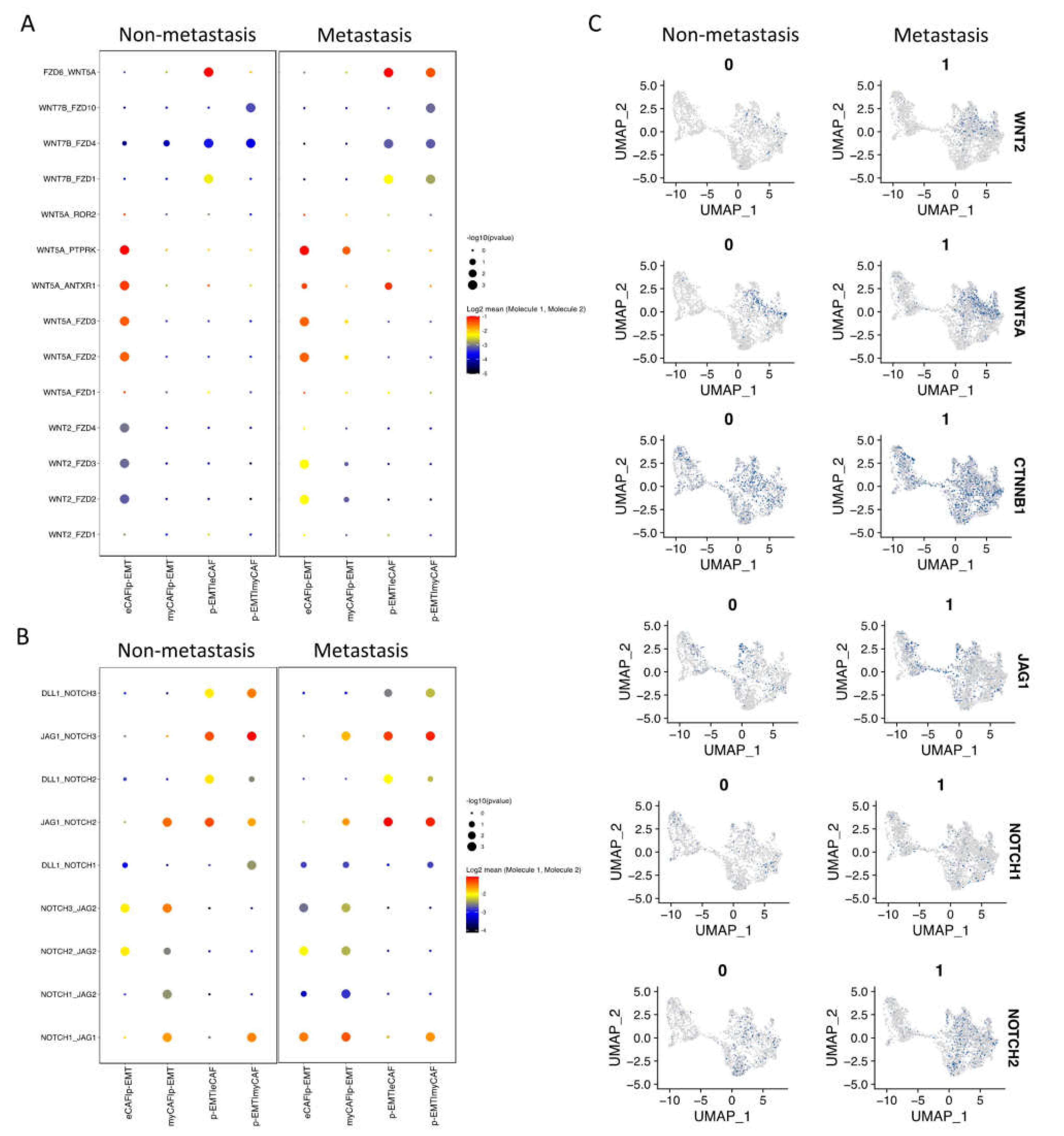 Ijms 23 06470 g004 550