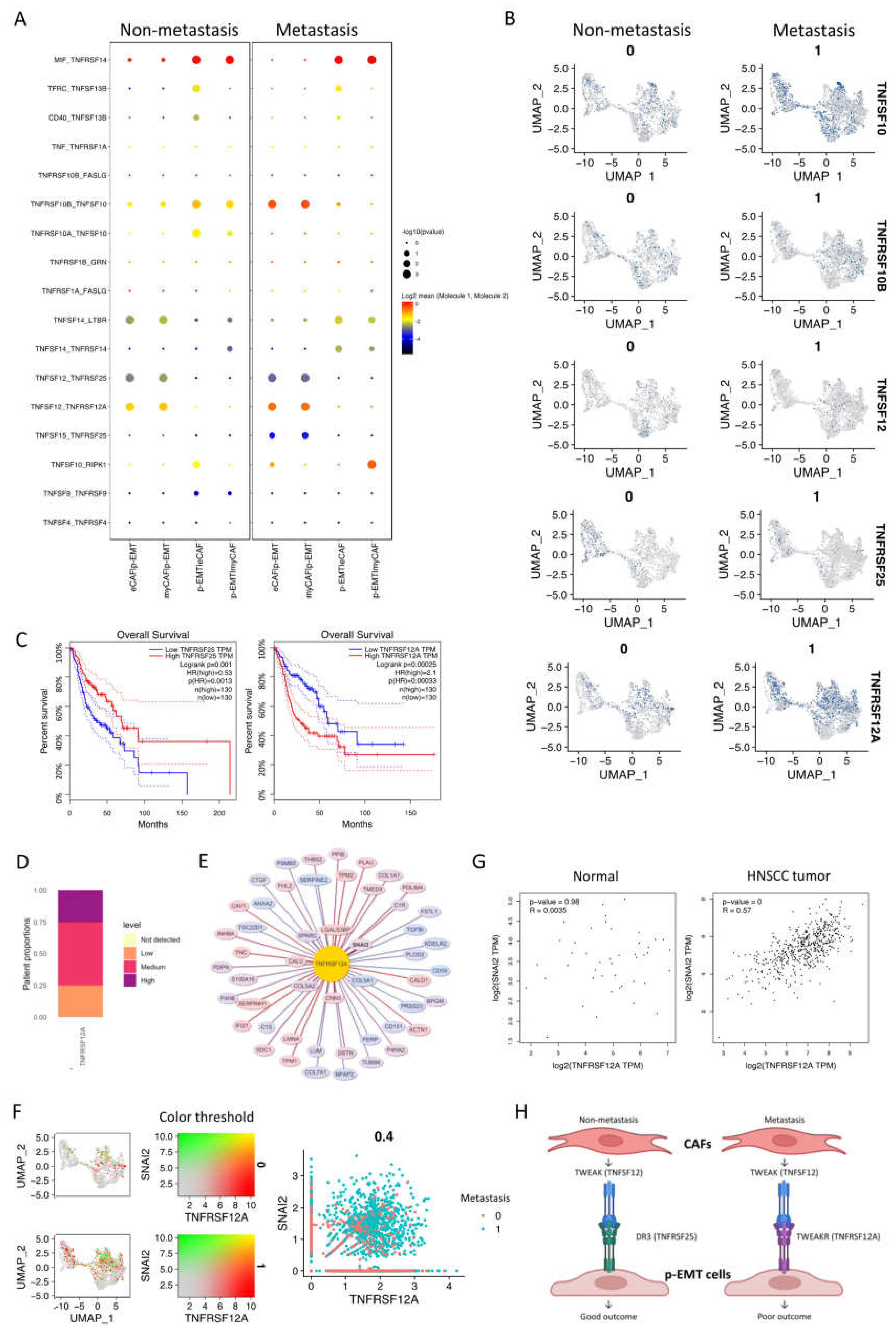 Ijms 23 06470 g005 550