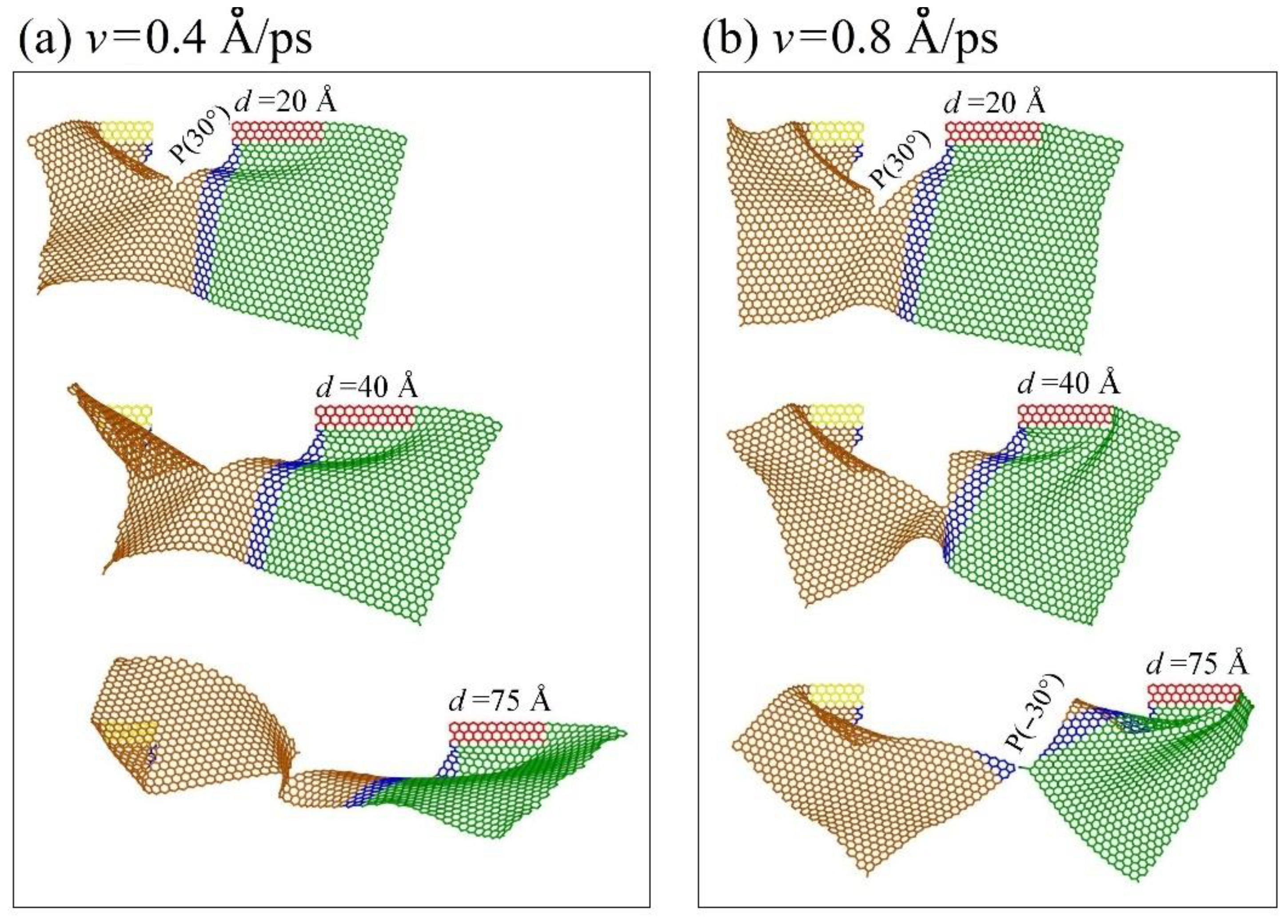 Ijms 23 06471 g003 Ijms 23 06471 g003