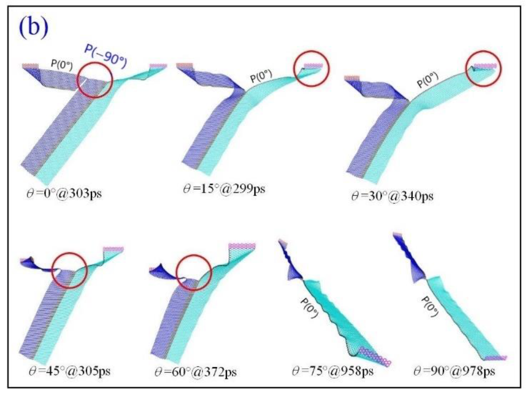 Ijms 23 06471 g013b Ijms 23 06471 g013b