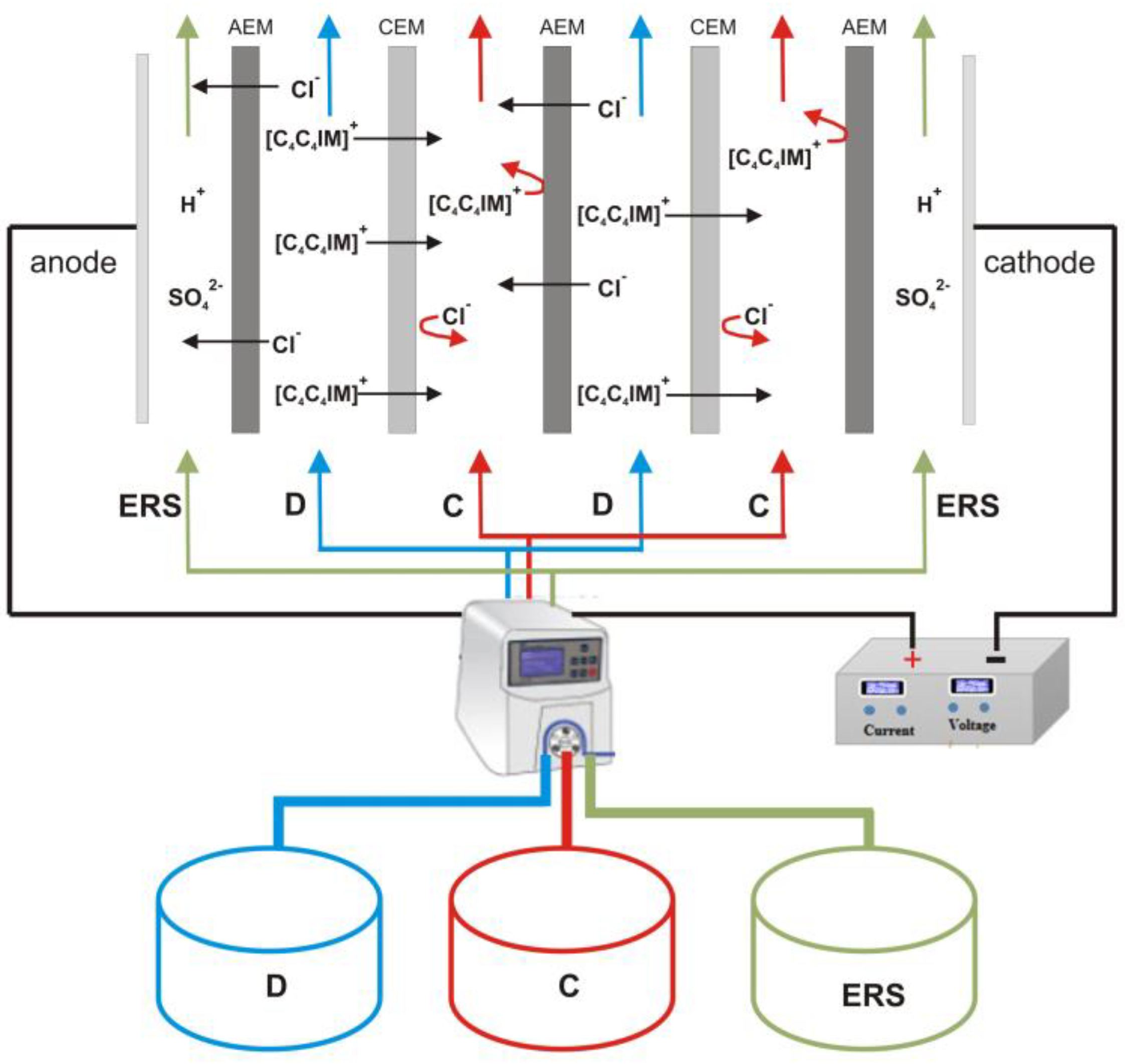 Ijms 23 06472 g004 550