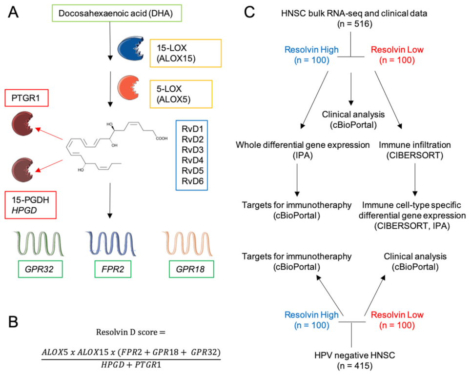Ijms 23 06473 g001 550