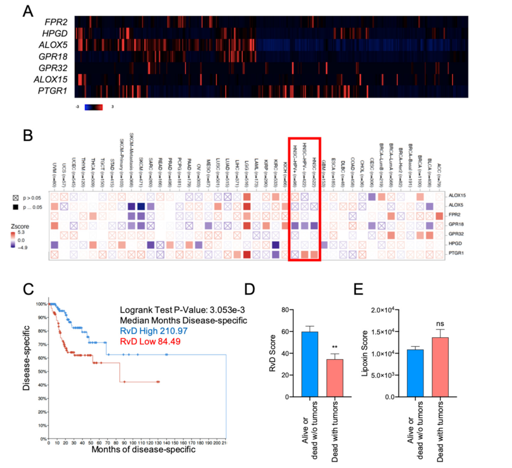 Ijms 23 06473 g002 550