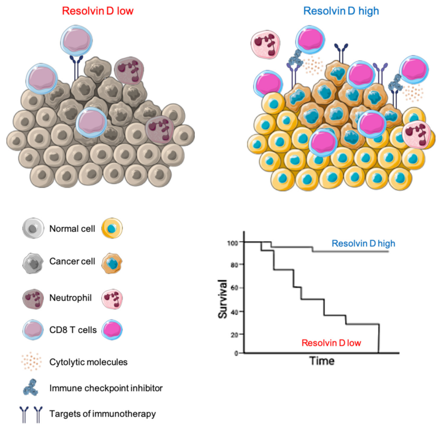 Ijms 23 06473 g008 550