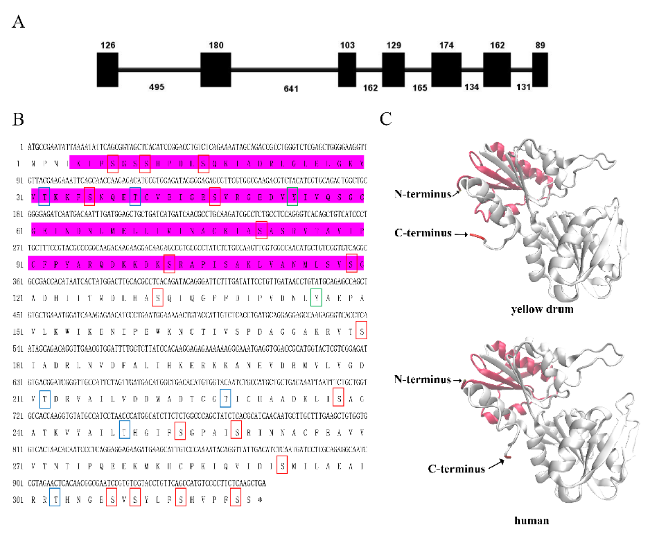 Ijms 23 06475 g001 550