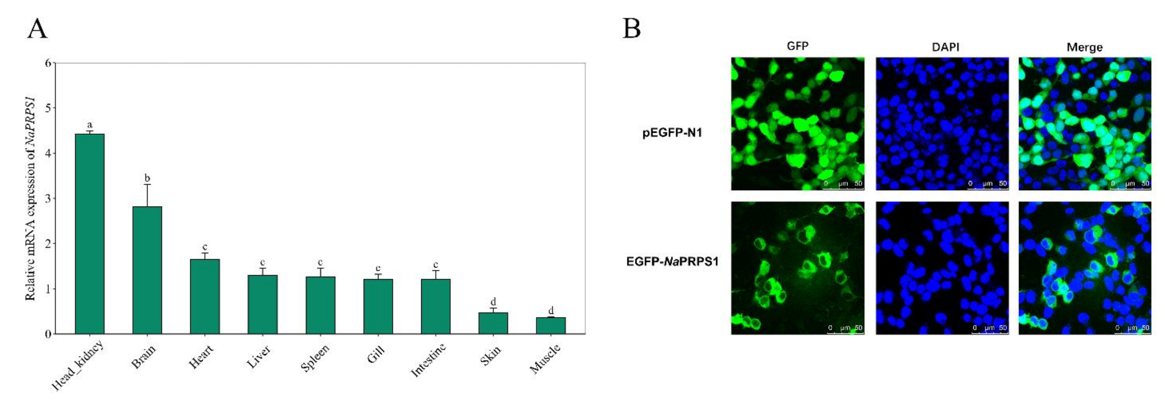 Ijms 23 06475 g003 550