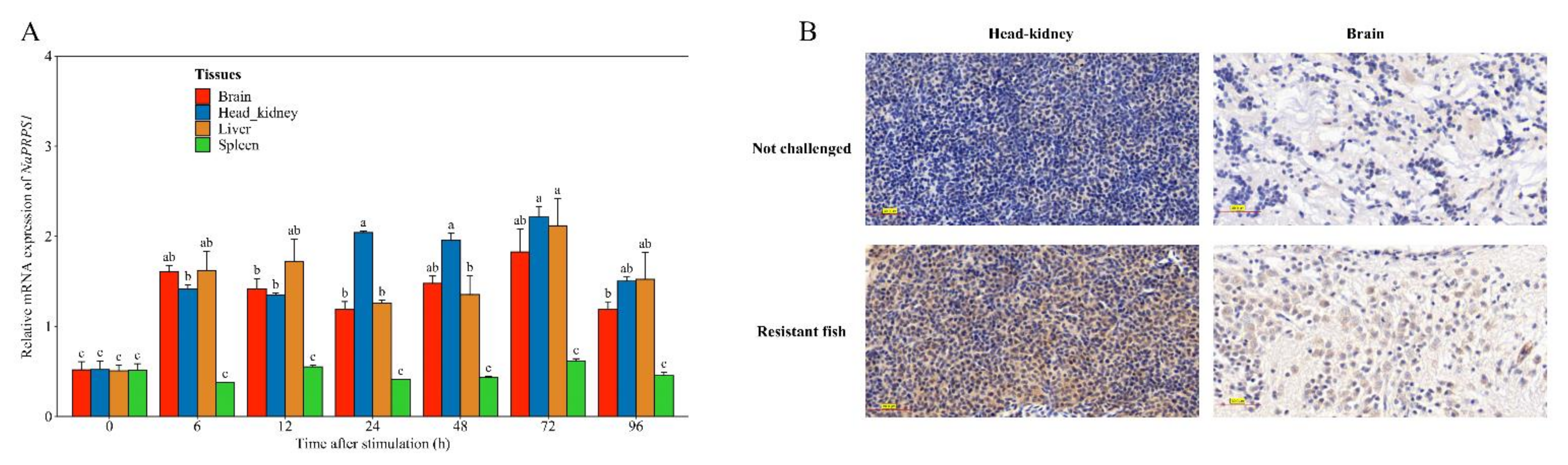 Ijms 23 06475 g004 550