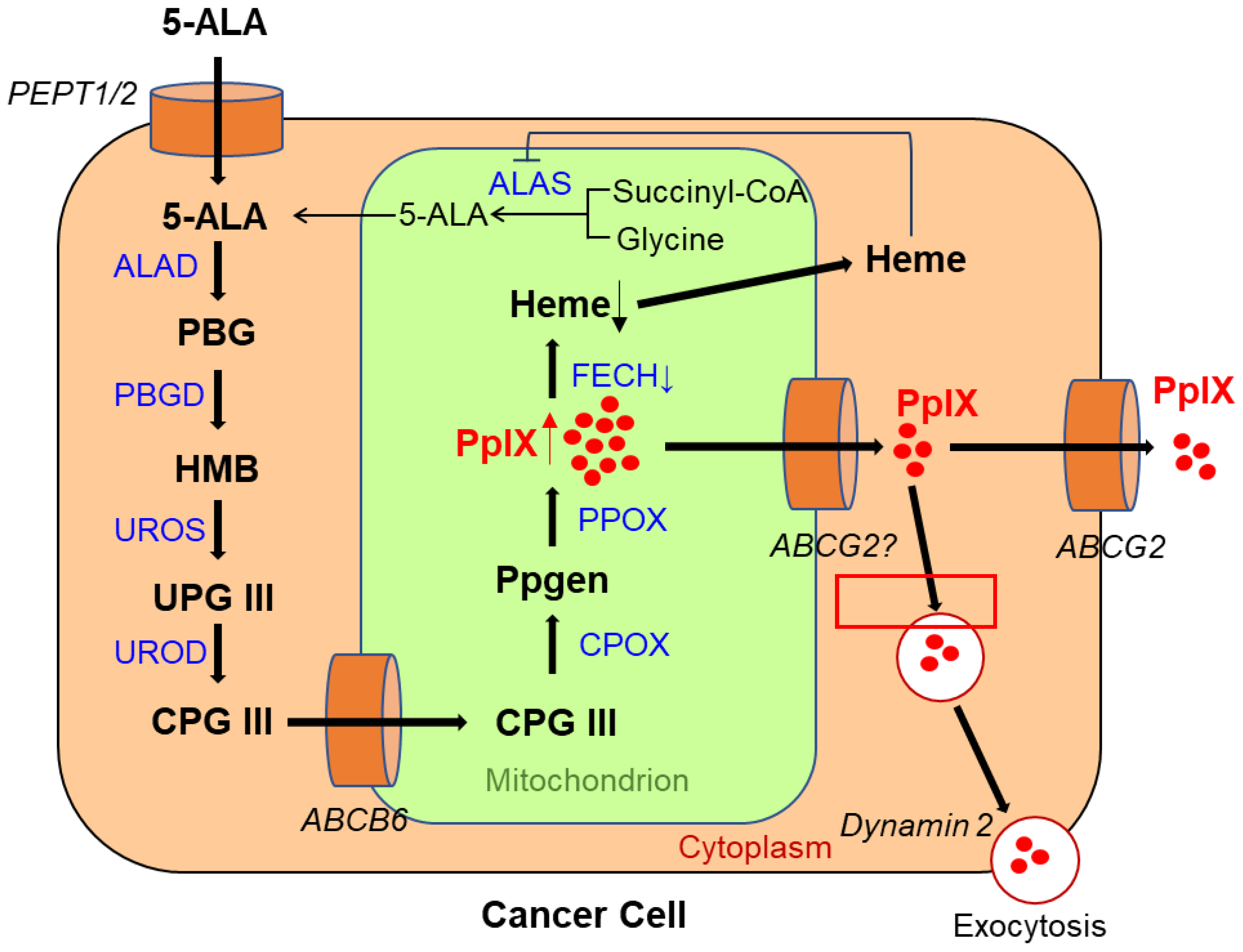 Ijms 23 06478 g001 550