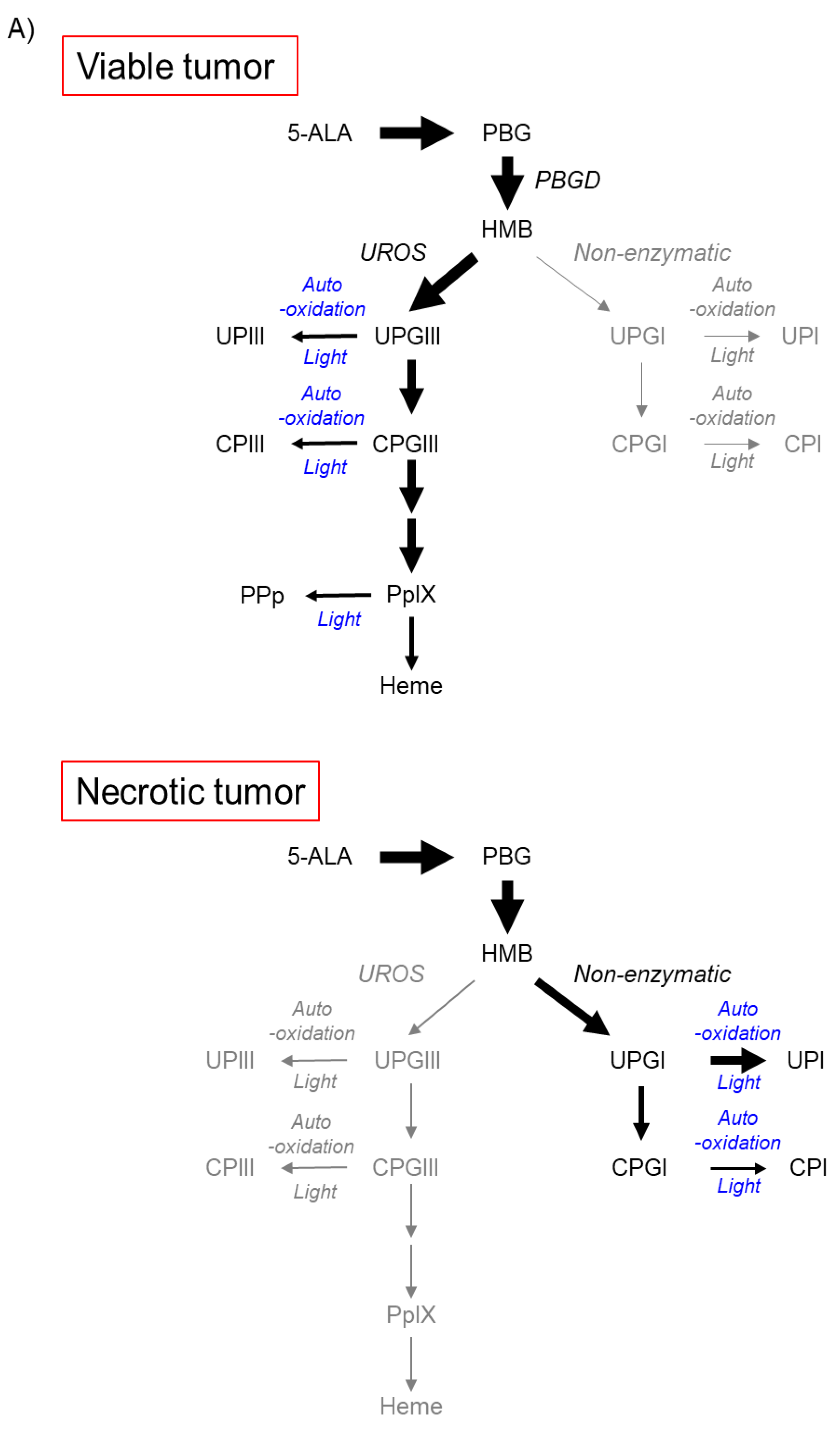 Ijms 23 06478 g003a 550