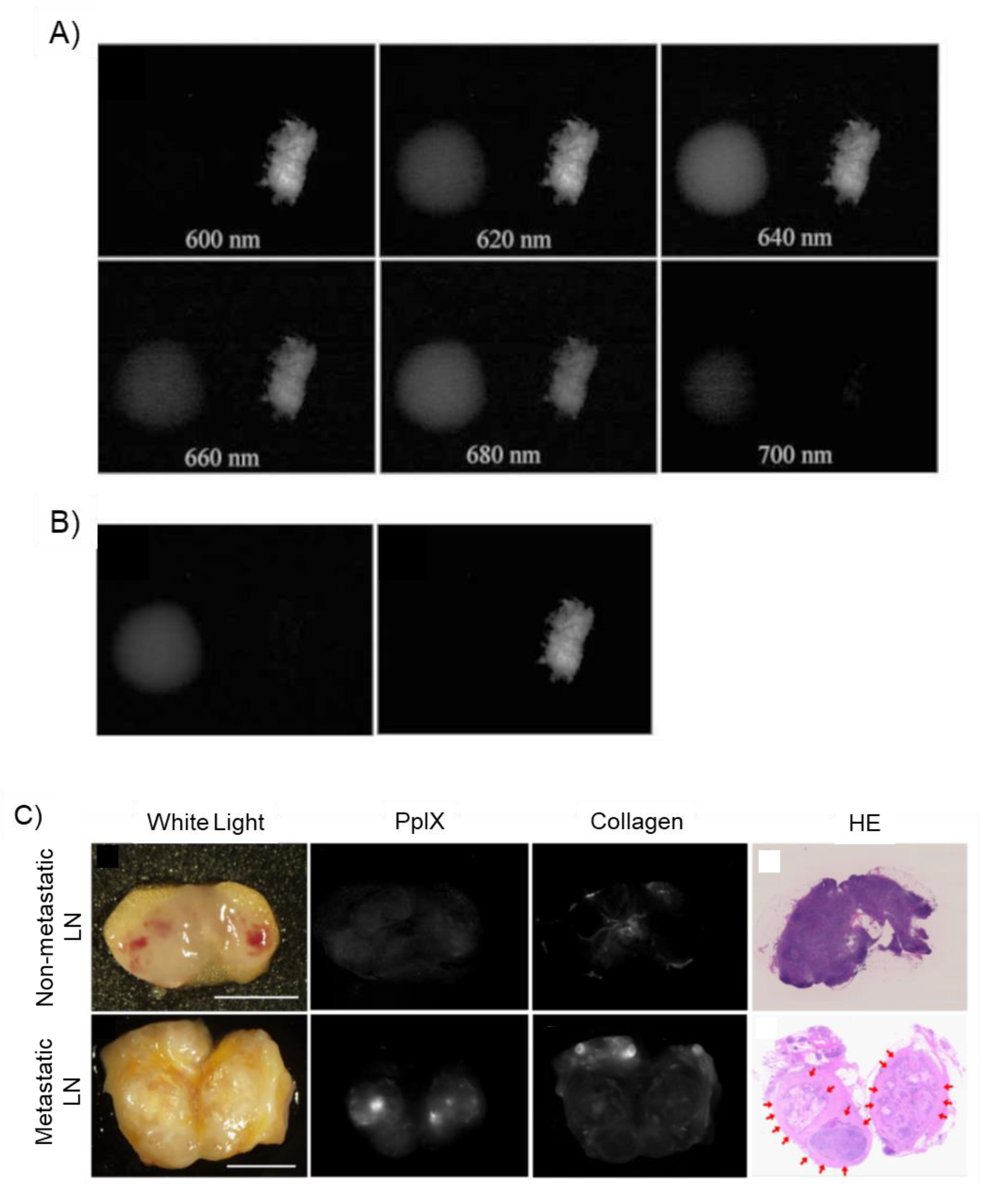 Ijms 23 06478 g004 550
