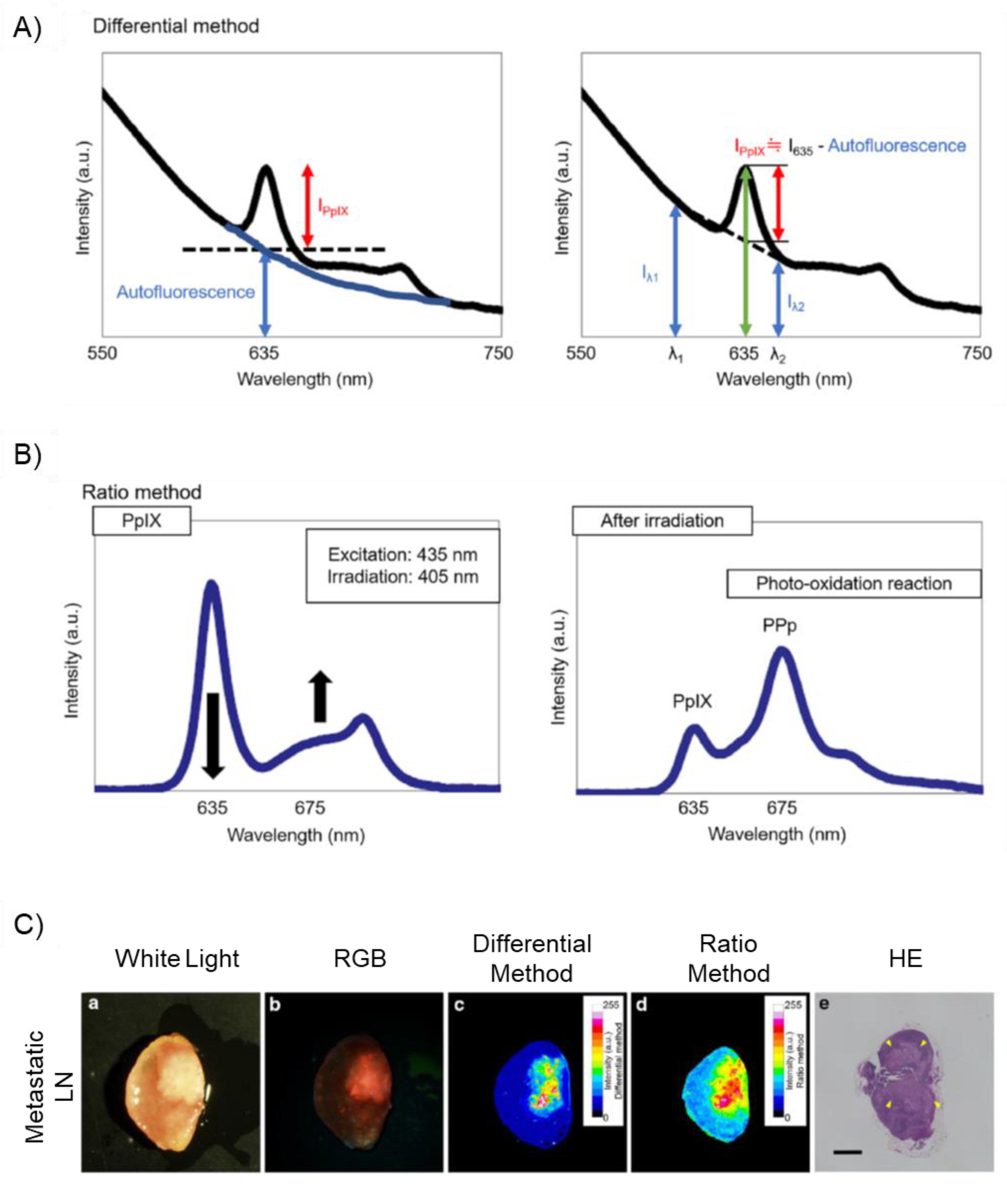 Ijms 23 06478 g005 550