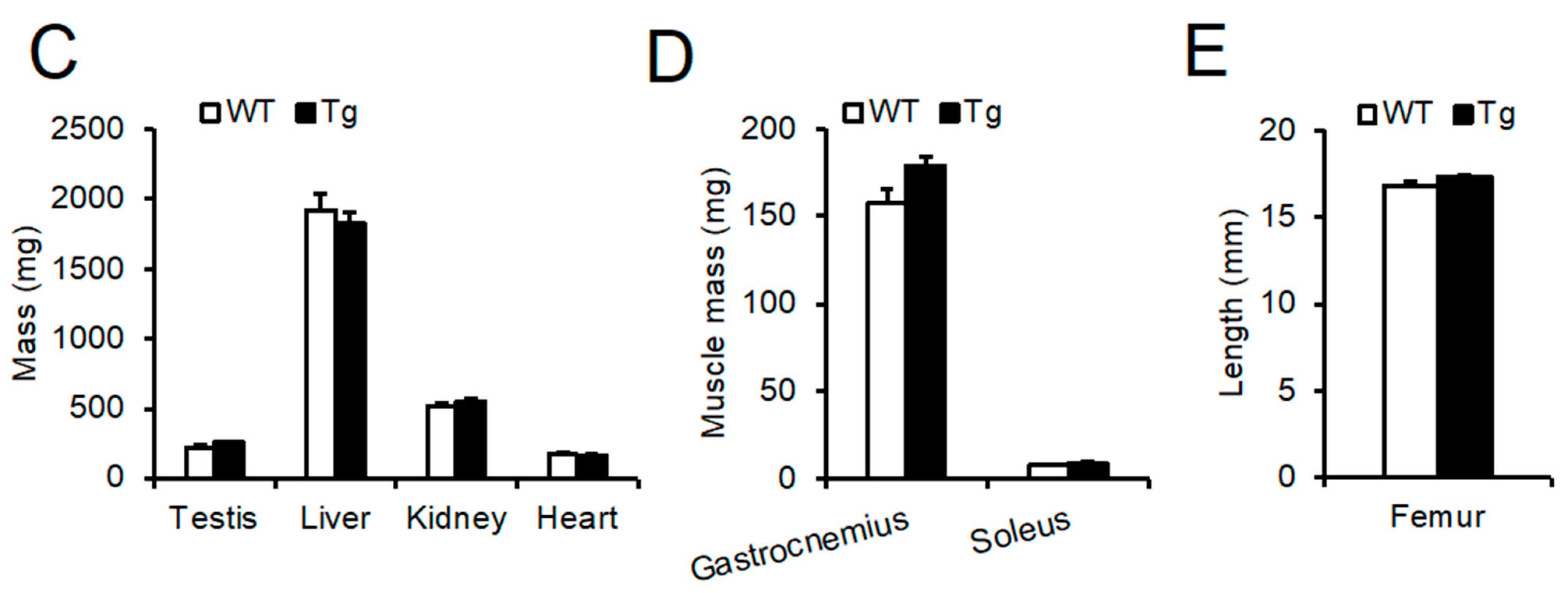Ijms 23 06488 g002b Ijms 23 06488 g002b