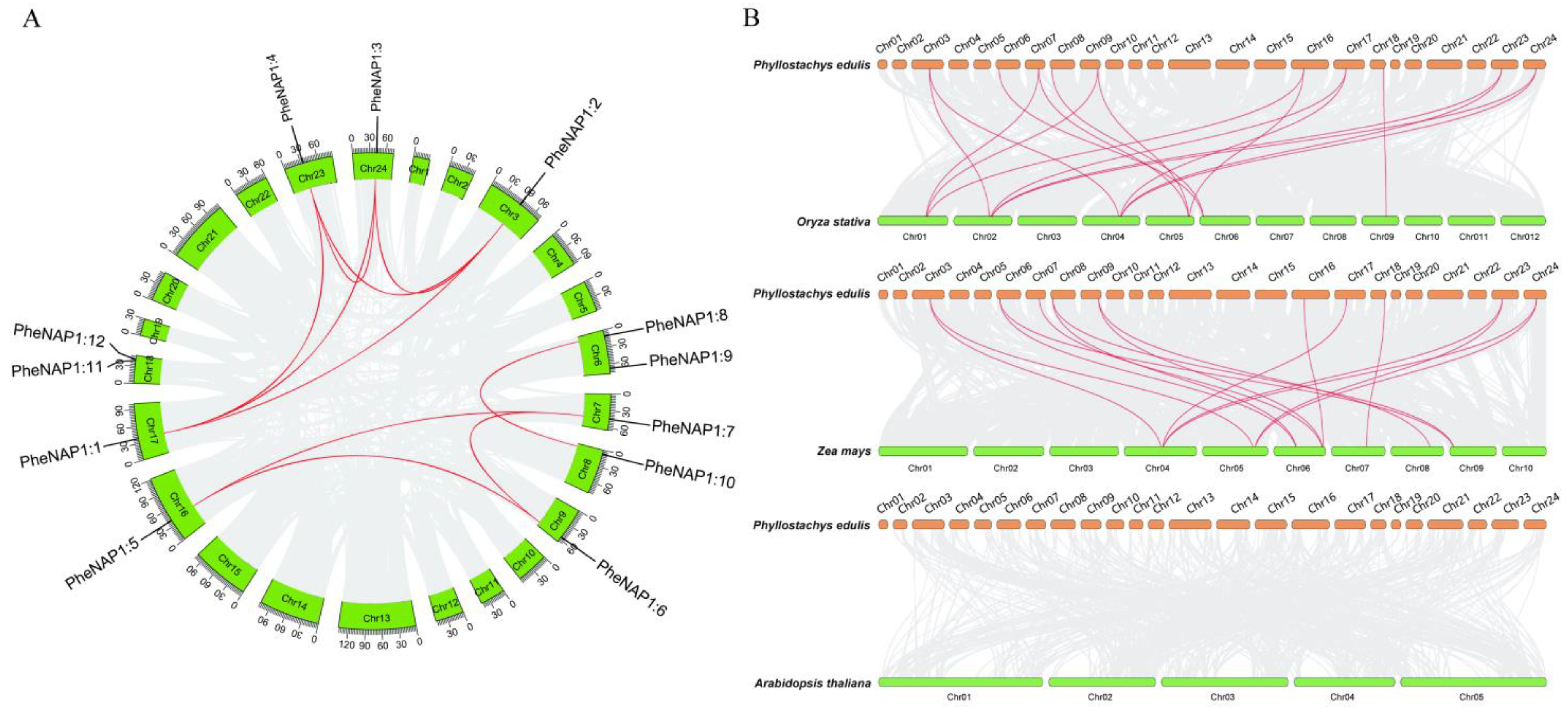 Ijms 23 06491 g002 550