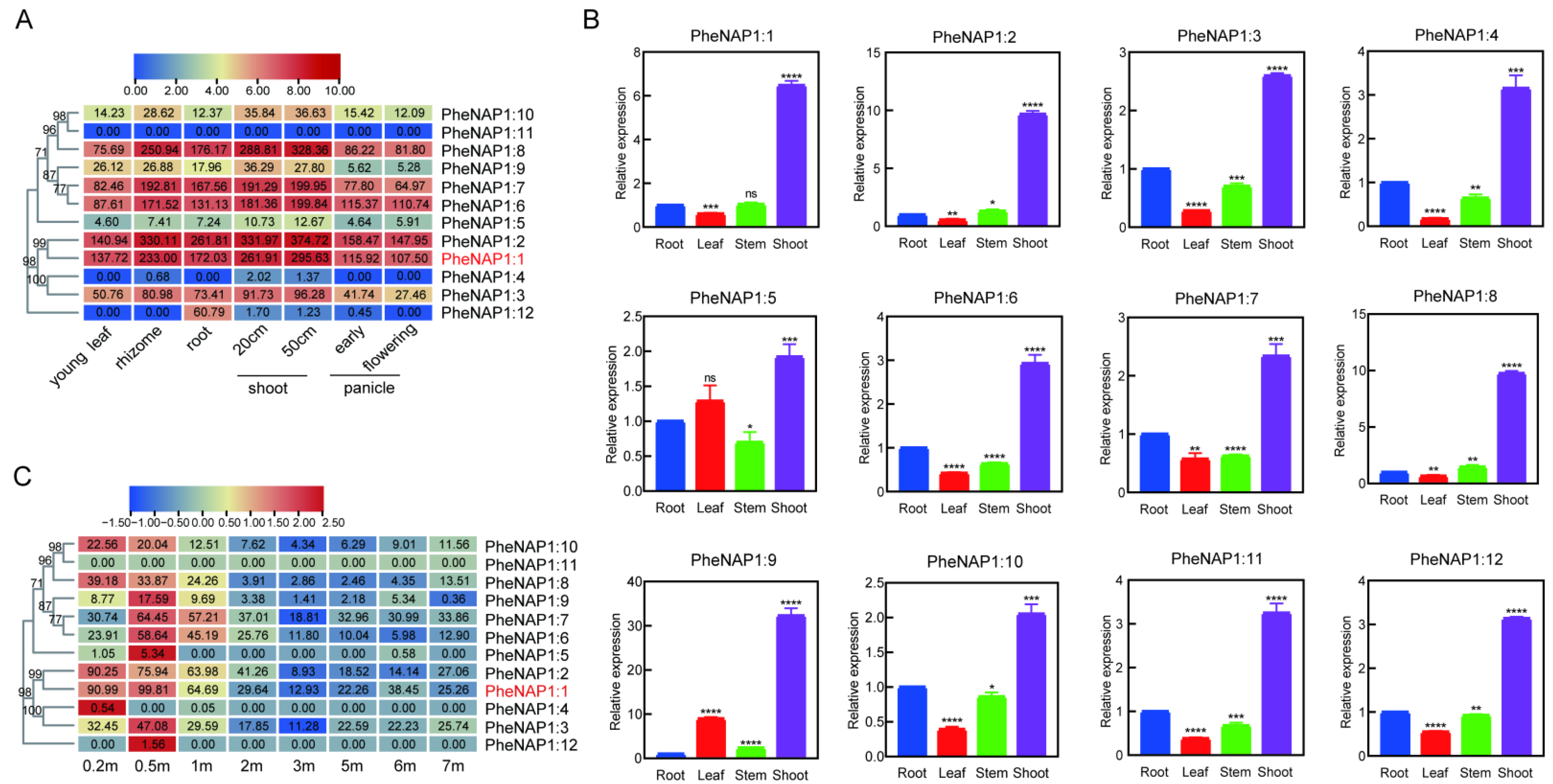 Ijms 23 06491 g003 550