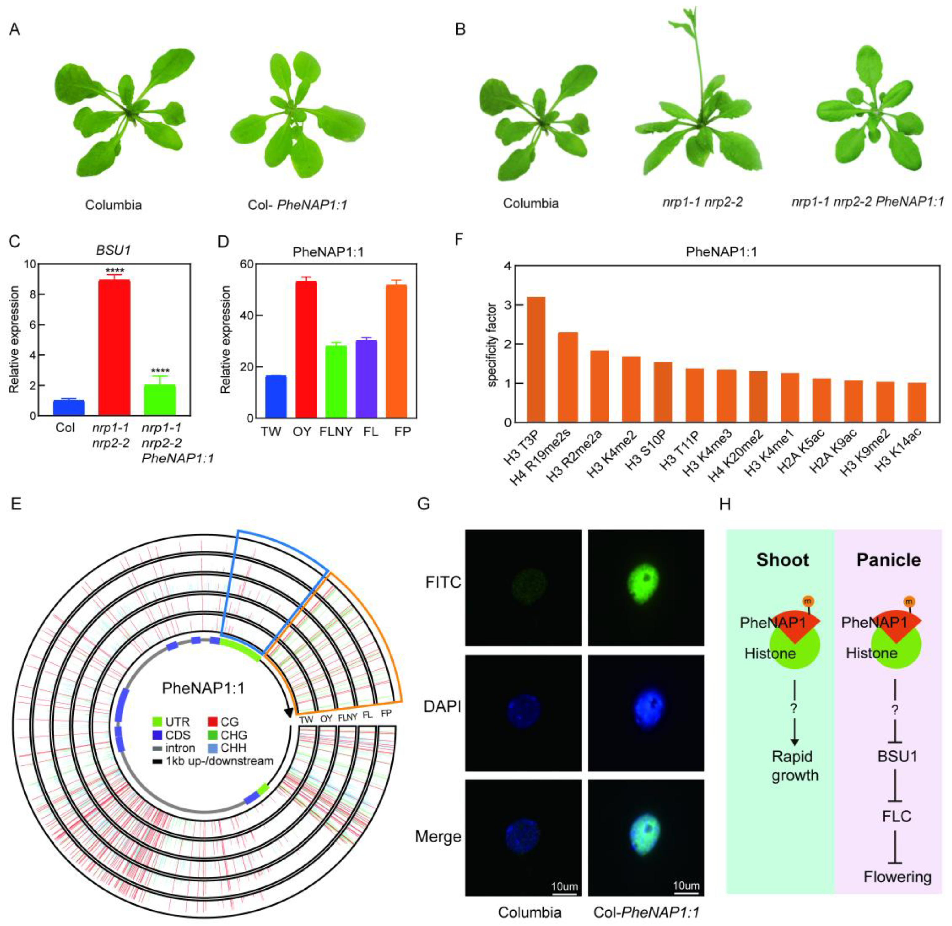 Ijms 23 06491 g004 550
