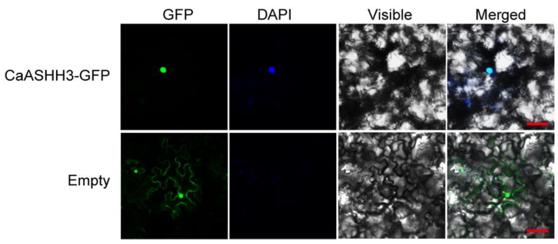 Ijms 23 06492 g003 550