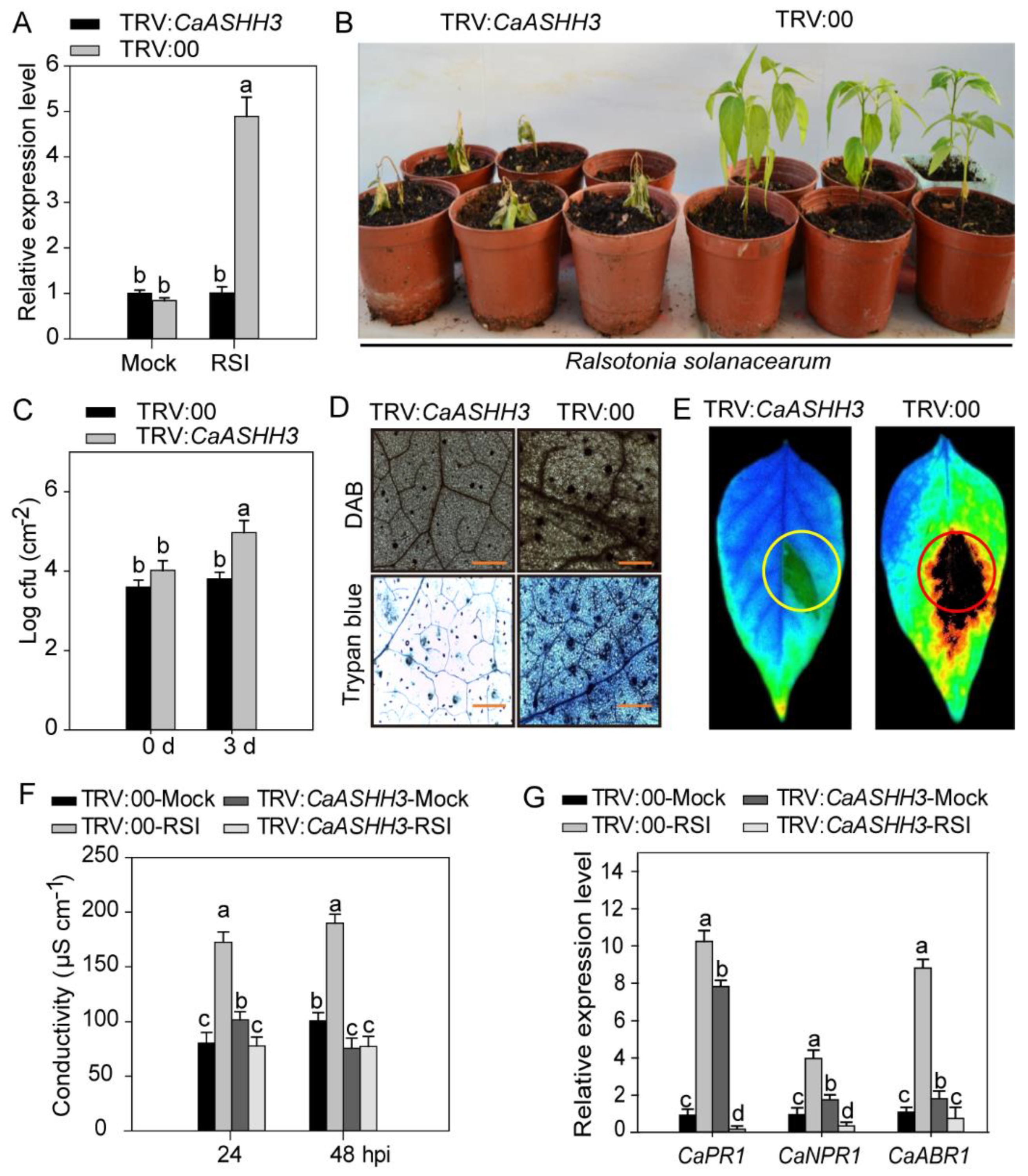Ijms 23 06492 g004 550