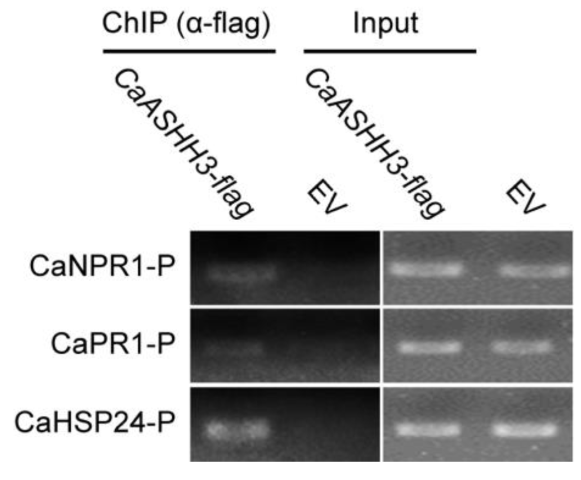 Ijms 23 06492 g006 550