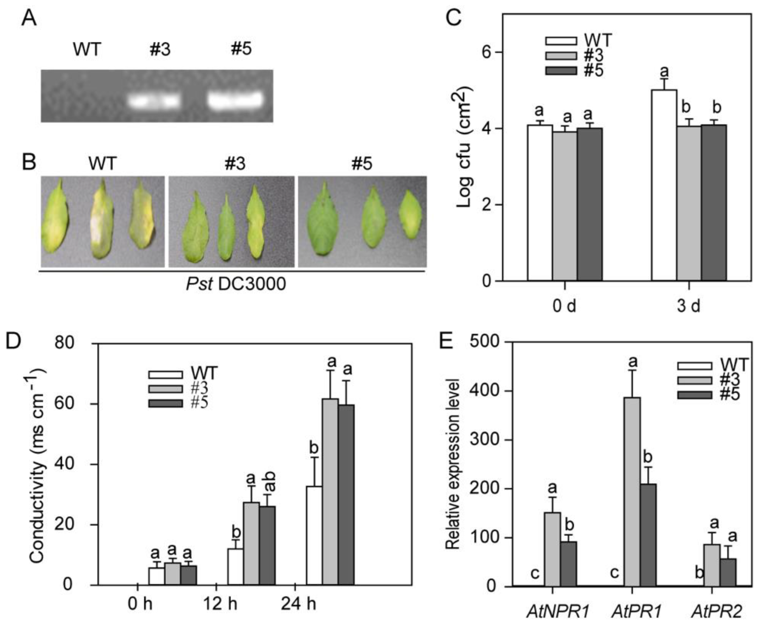 Ijms 23 06492 g007 550