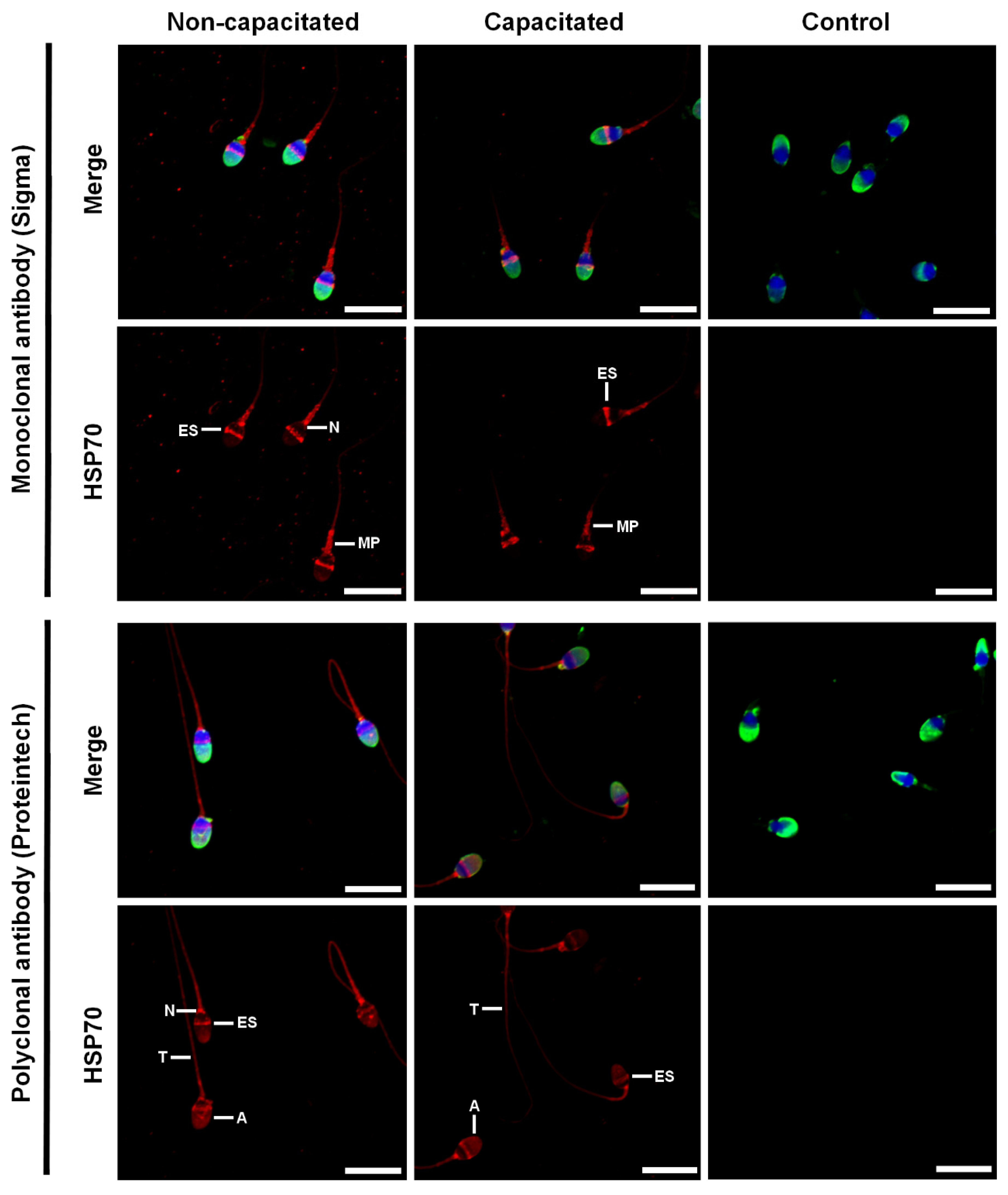 Ijms 23 06497 g002 Ijms 23 06497 g002