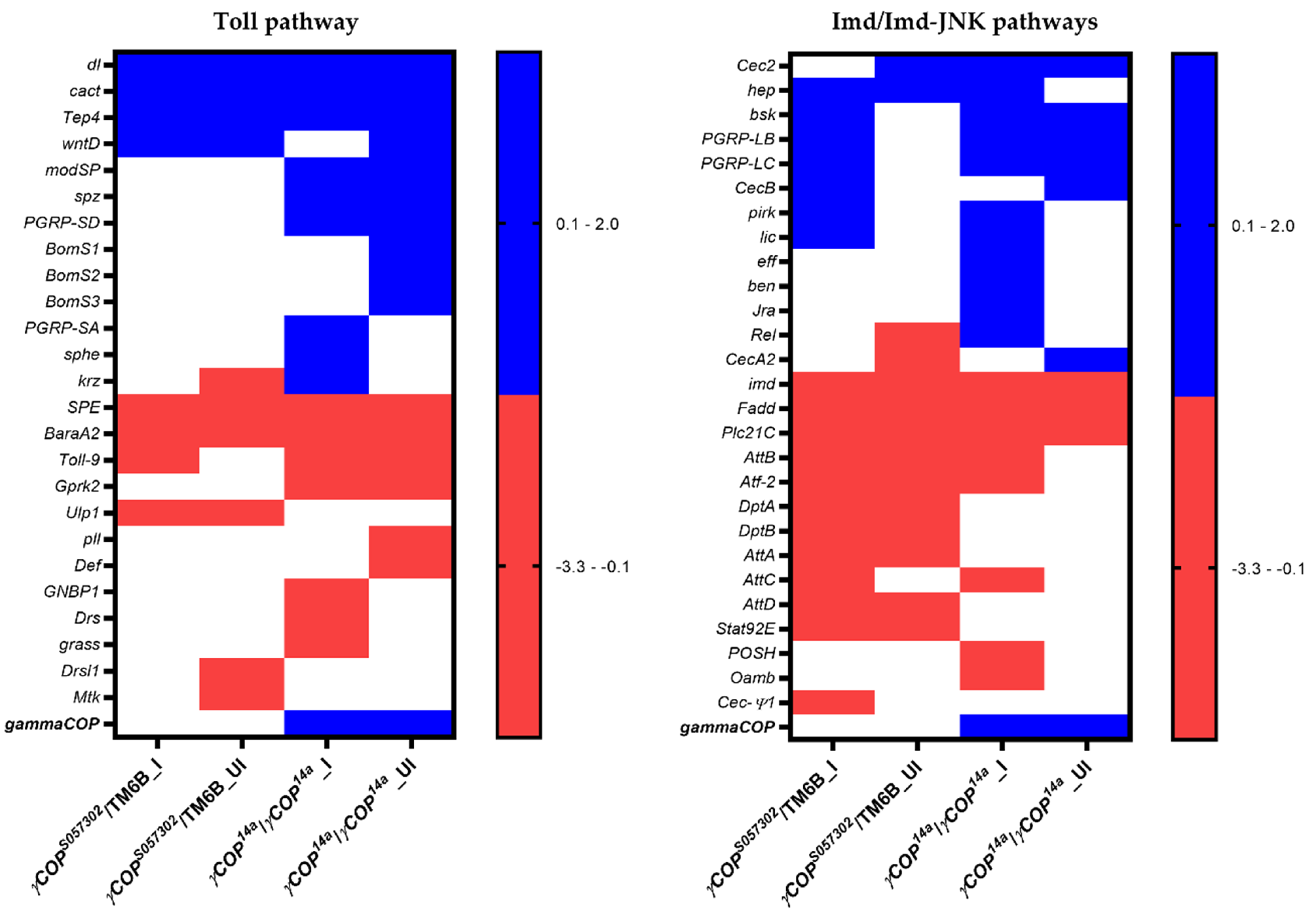 Ijms 23 06499 g001 Ijms 23 06499 g001