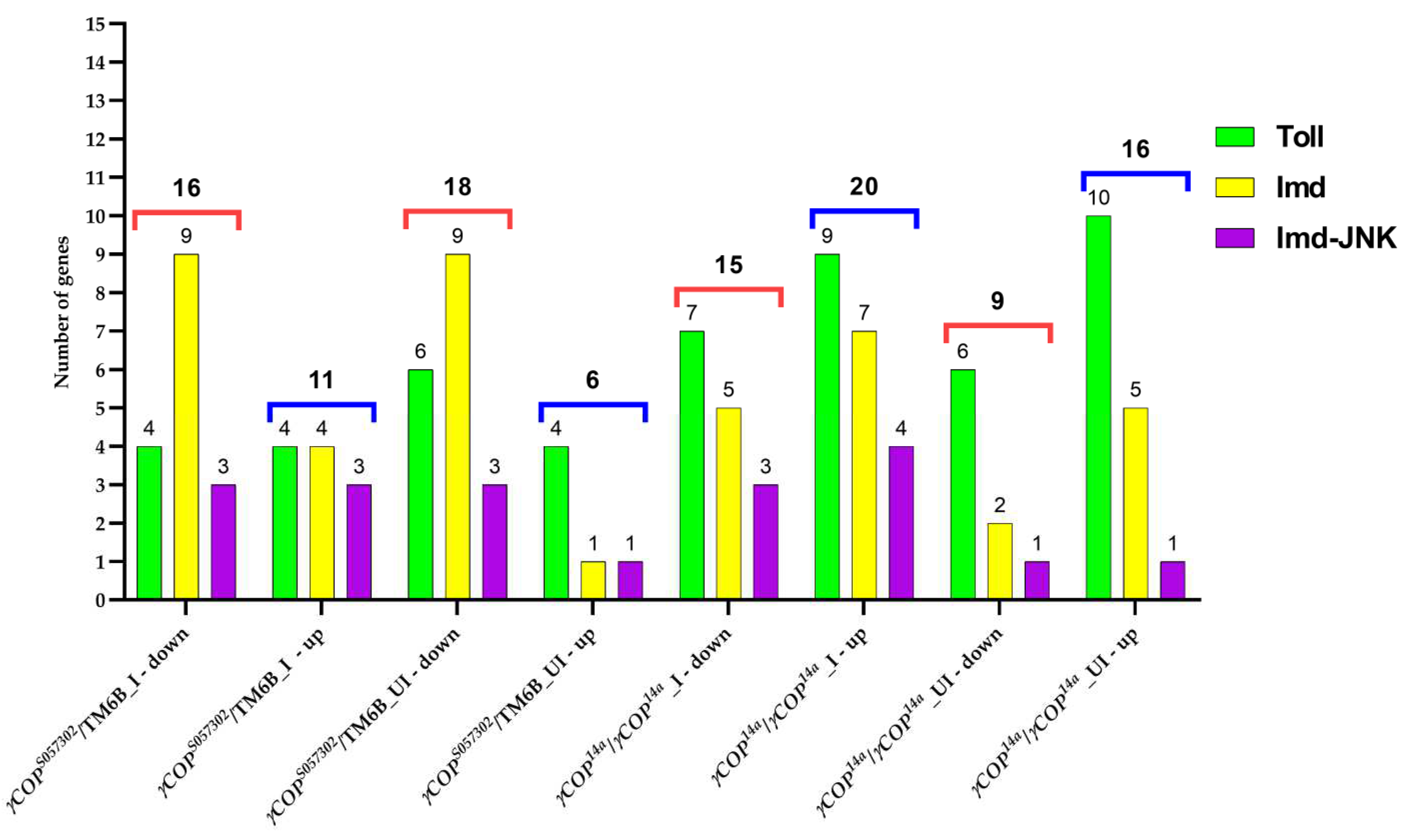 Ijms 23 06499 g002 Ijms 23 06499 g002