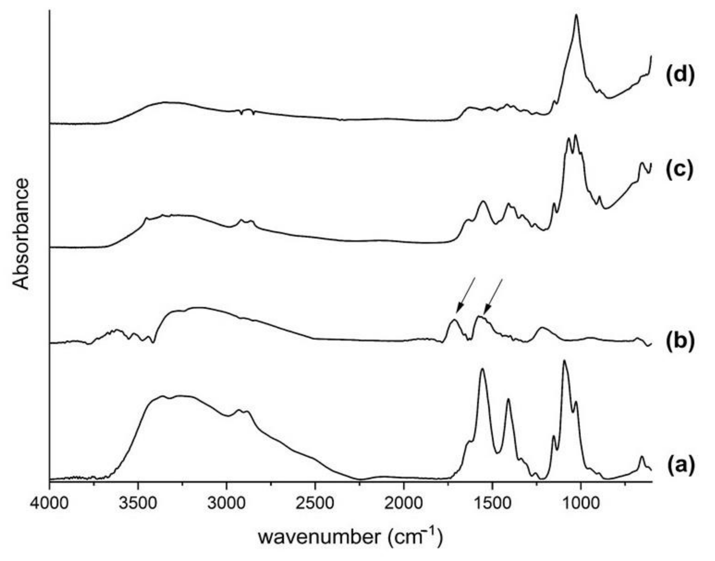 Ijms 23 06503 g001 Ijms 23 06503 g001