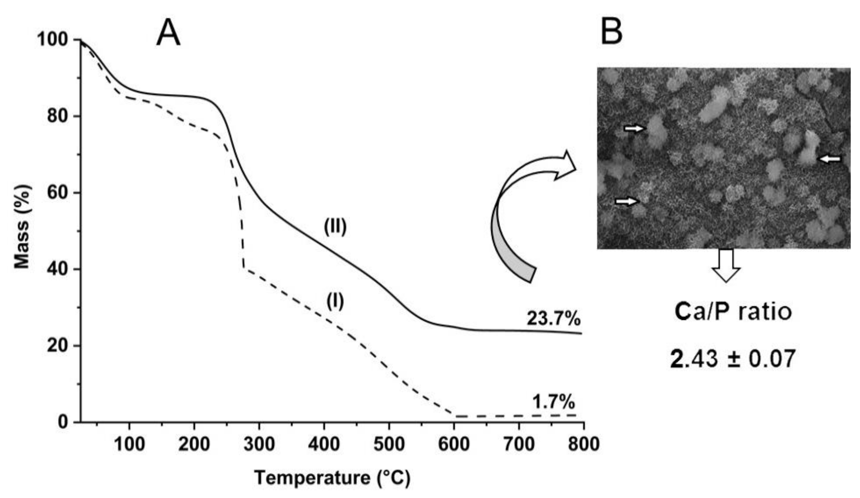 Ijms 23 06503 g002 Ijms 23 06503 g002