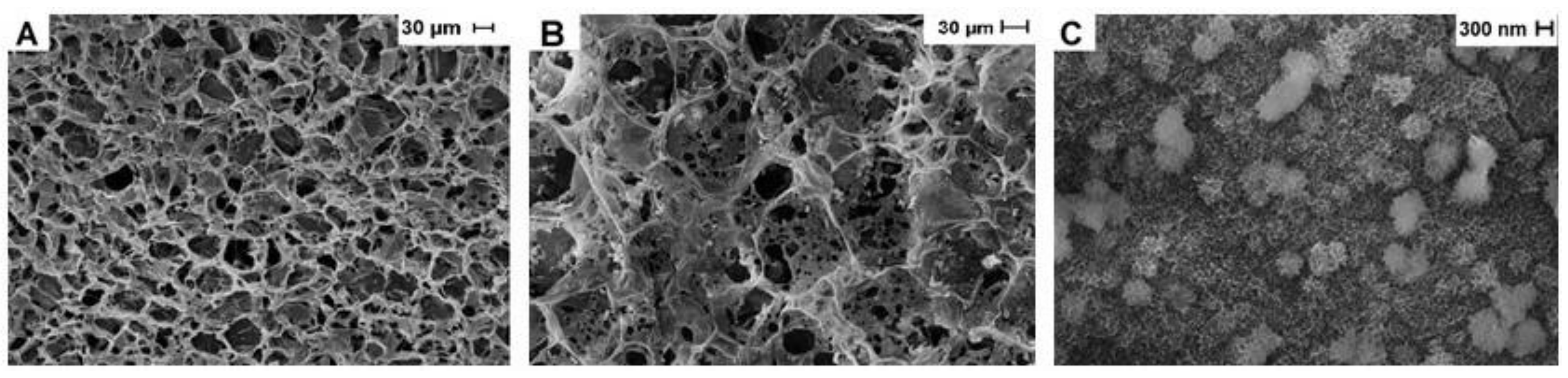 Ijms 23 06503 g003 Ijms 23 06503 g003