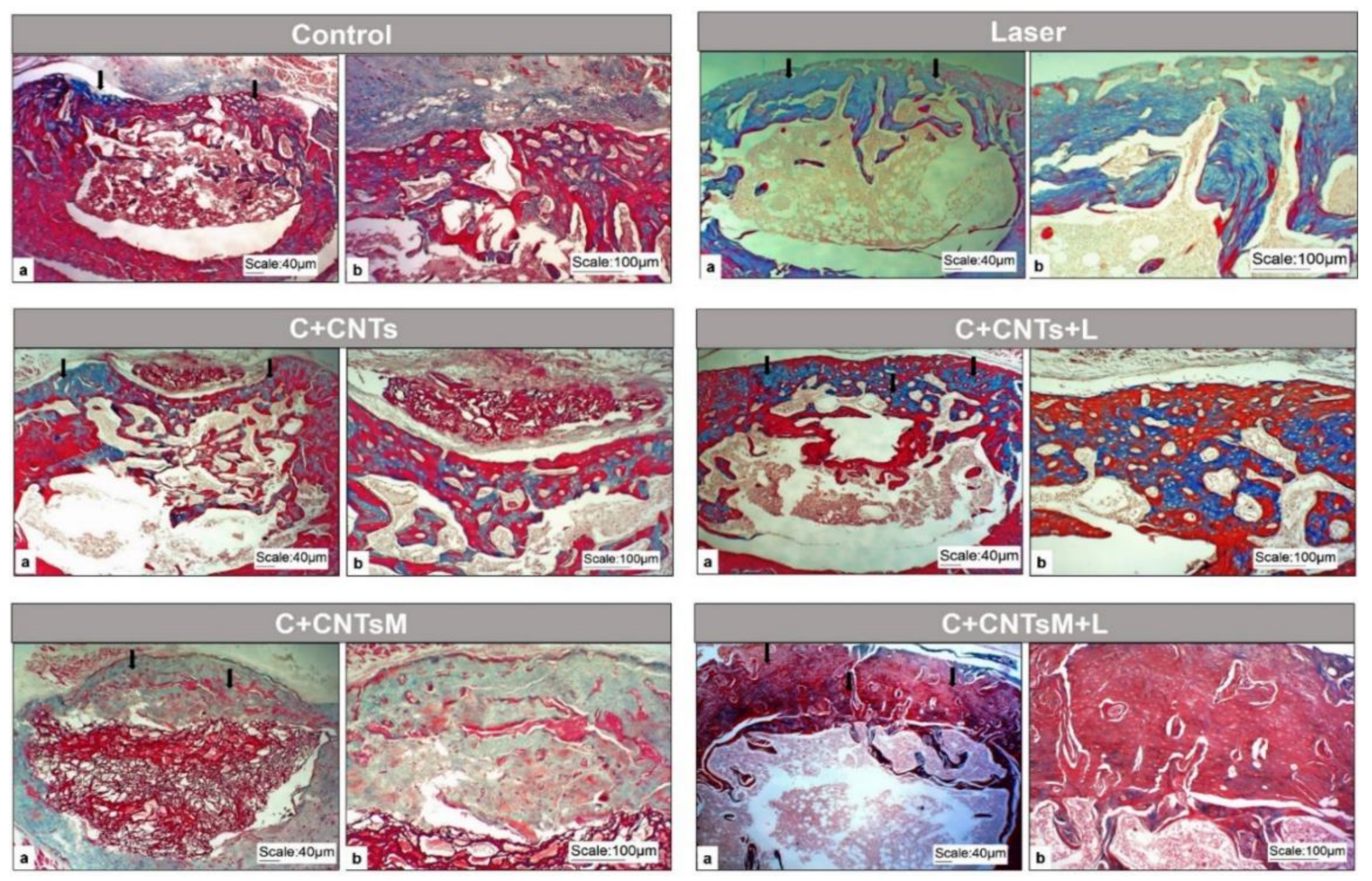 Ijms 23 06503 g006 Ijms 23 06503 g006