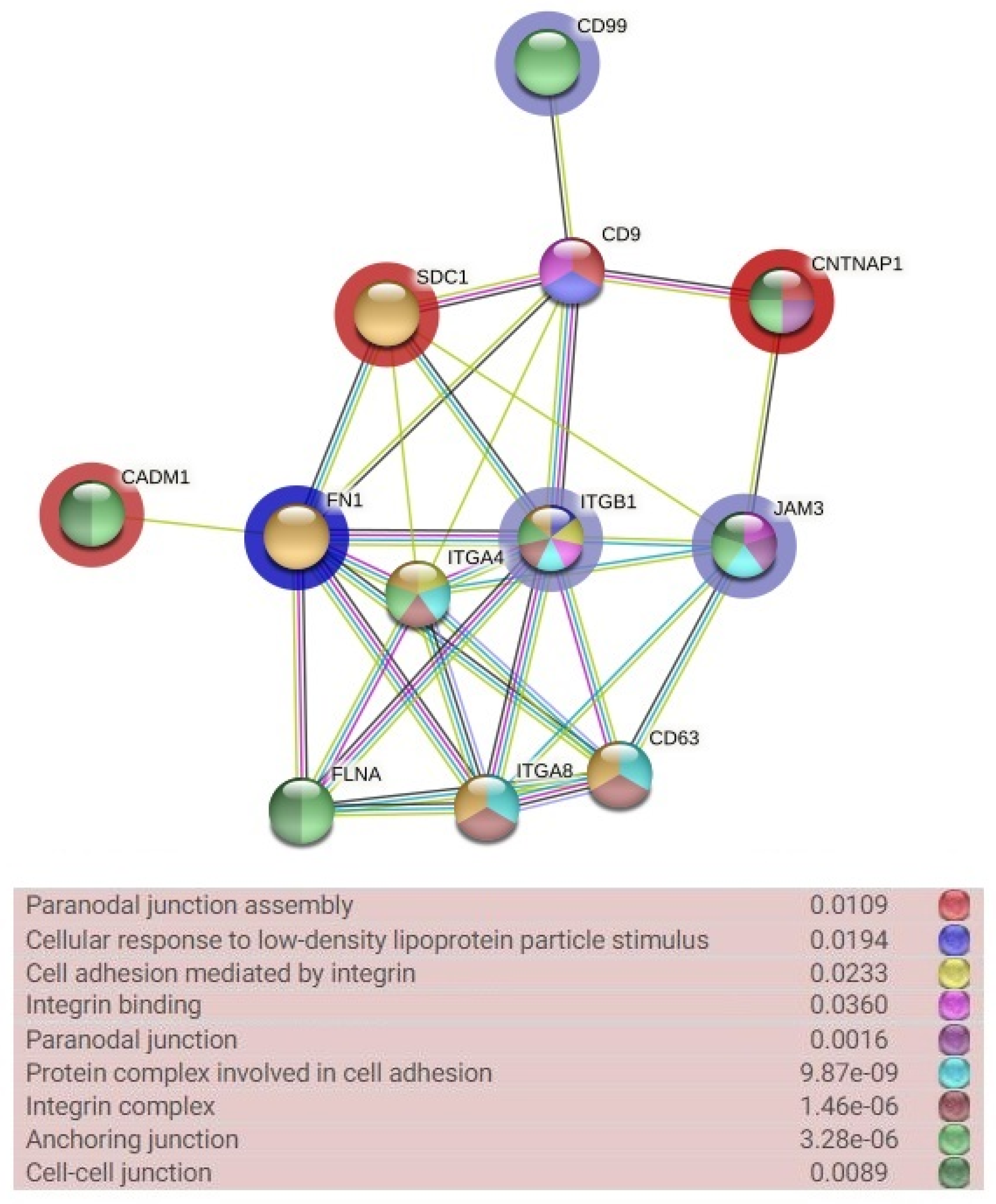Ijms 23 06506 g006 550