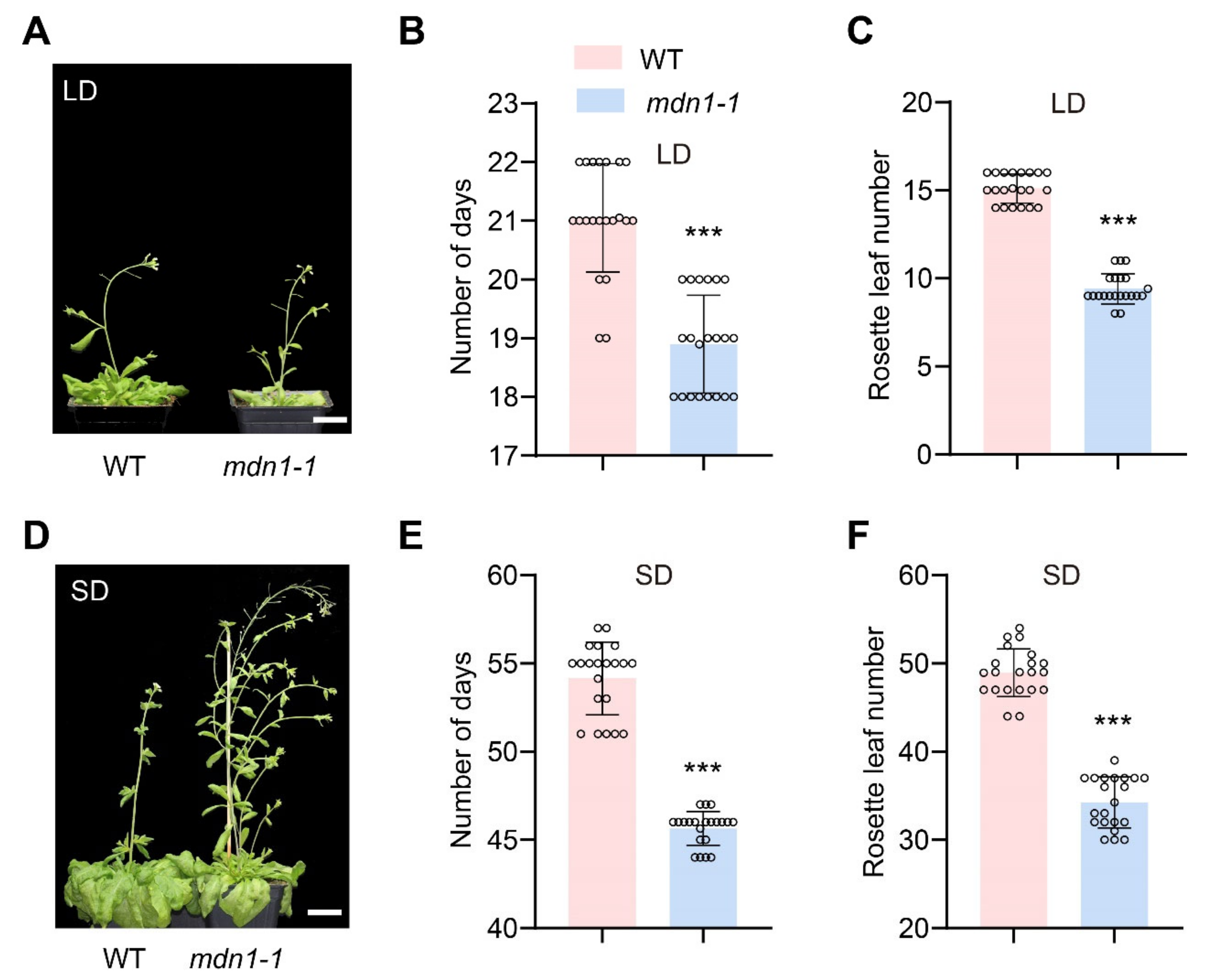 Ijms 23 06509 g001 550