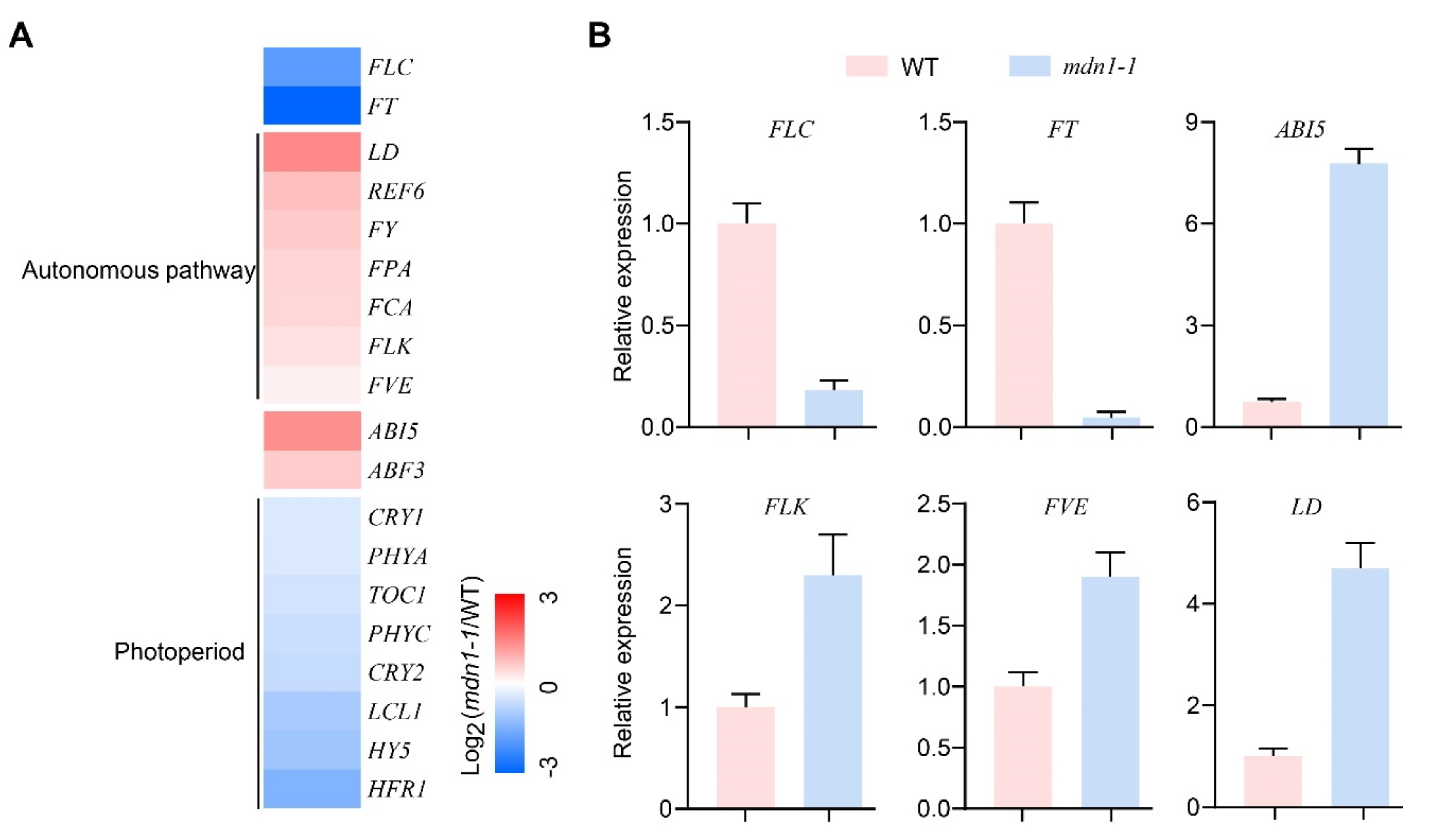 Ijms 23 06509 g002 550