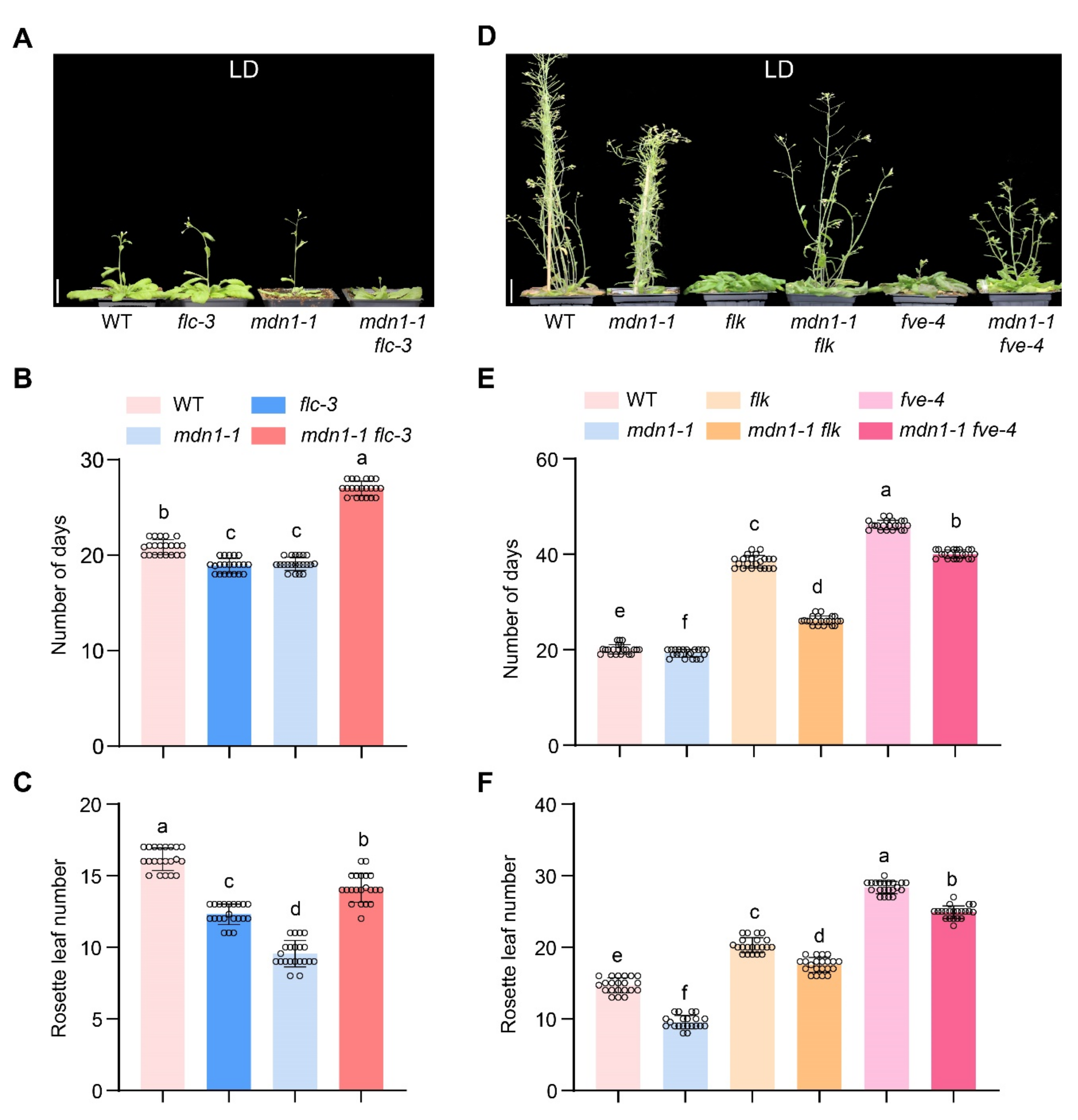 Ijms 23 06509 g003 550