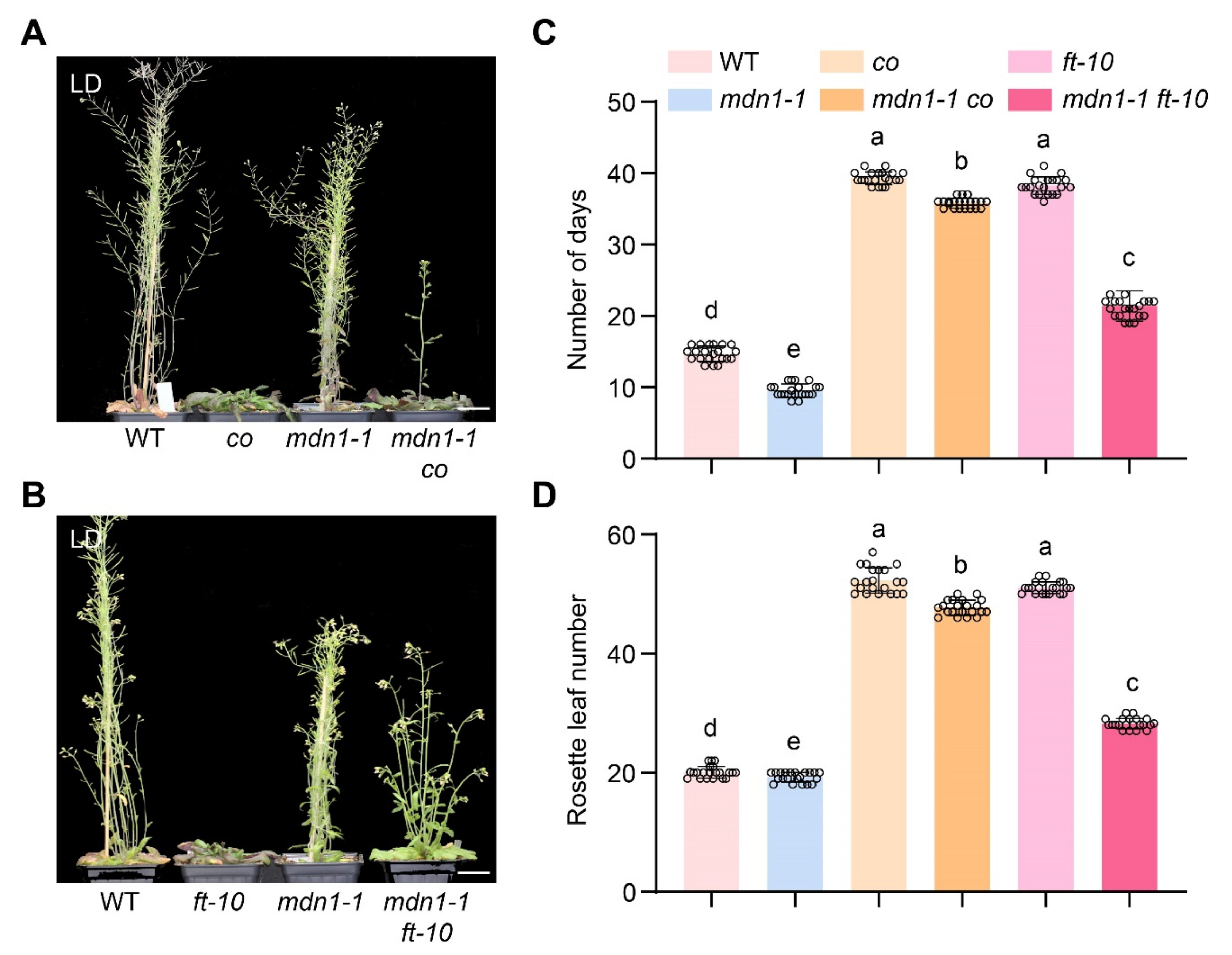 Ijms 23 06509 g004 550