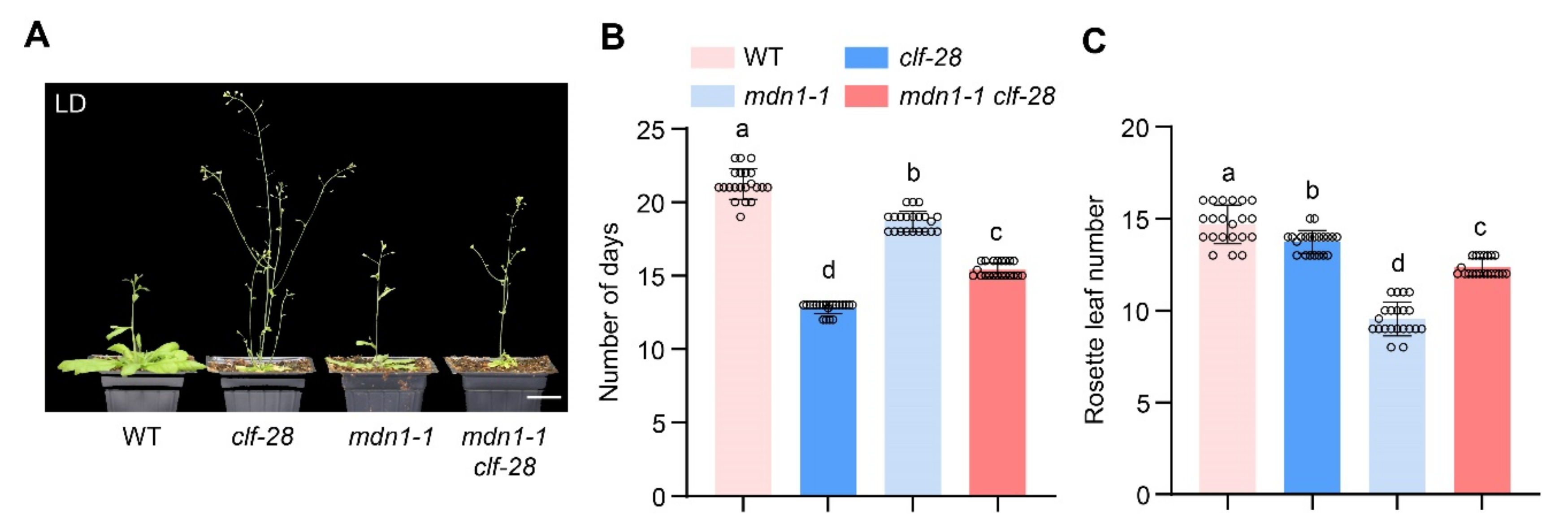 Ijms 23 06509 g005 550
