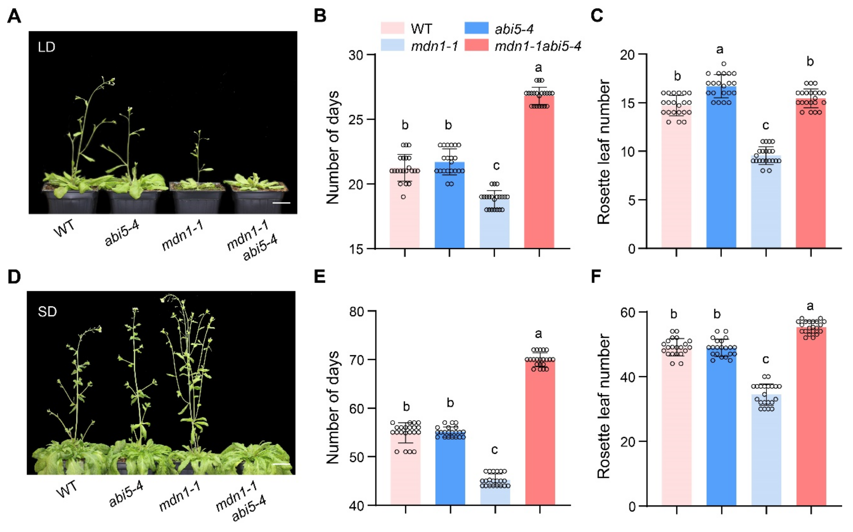 Ijms 23 06509 g006 550