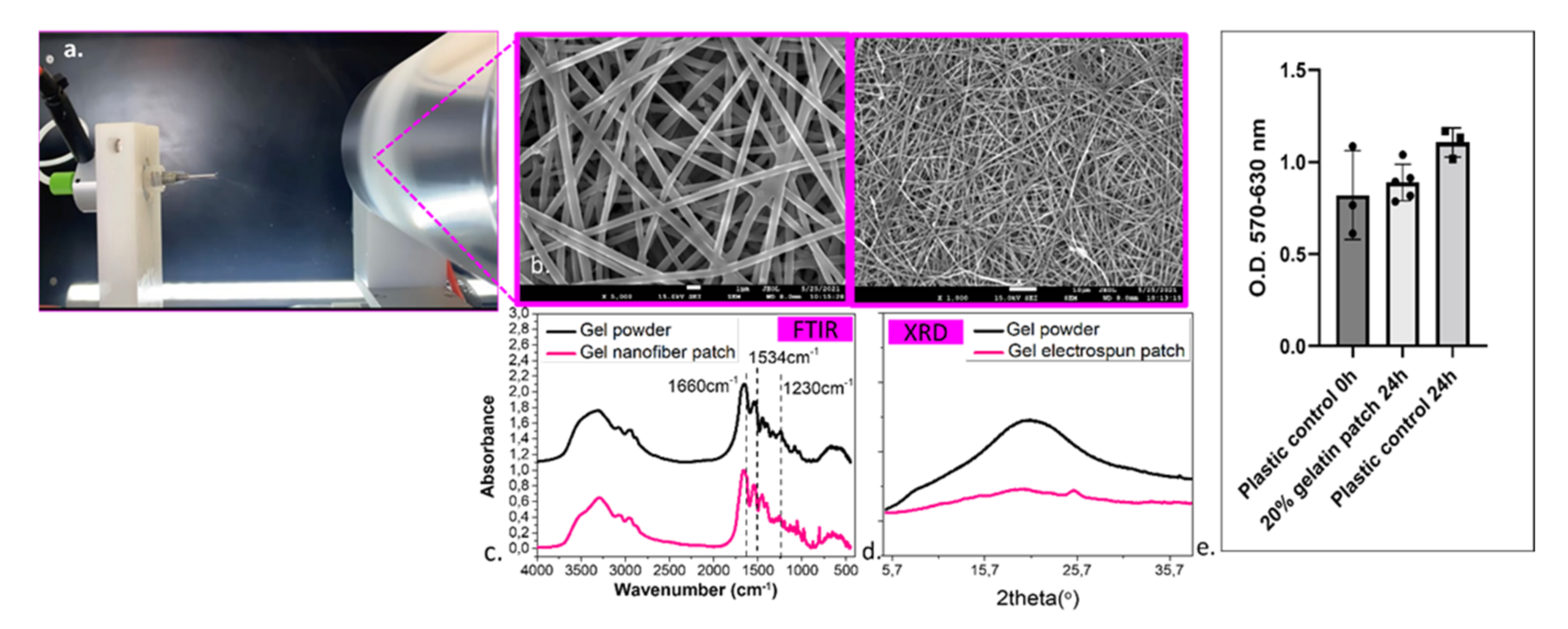 Ijms 23 06511 g004 Ijms 23 06511 g004