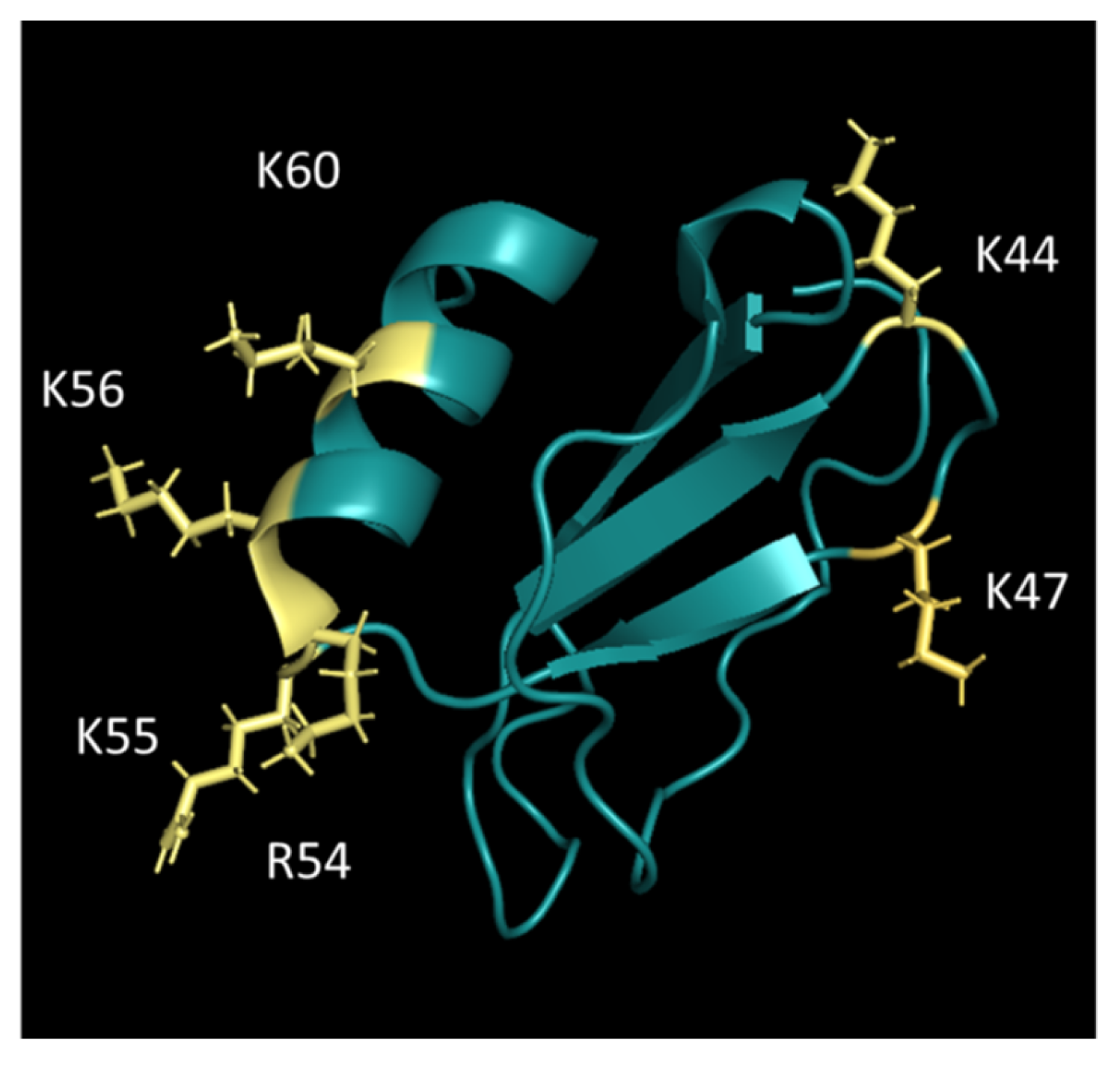 Ijms 23 06519 g003 550