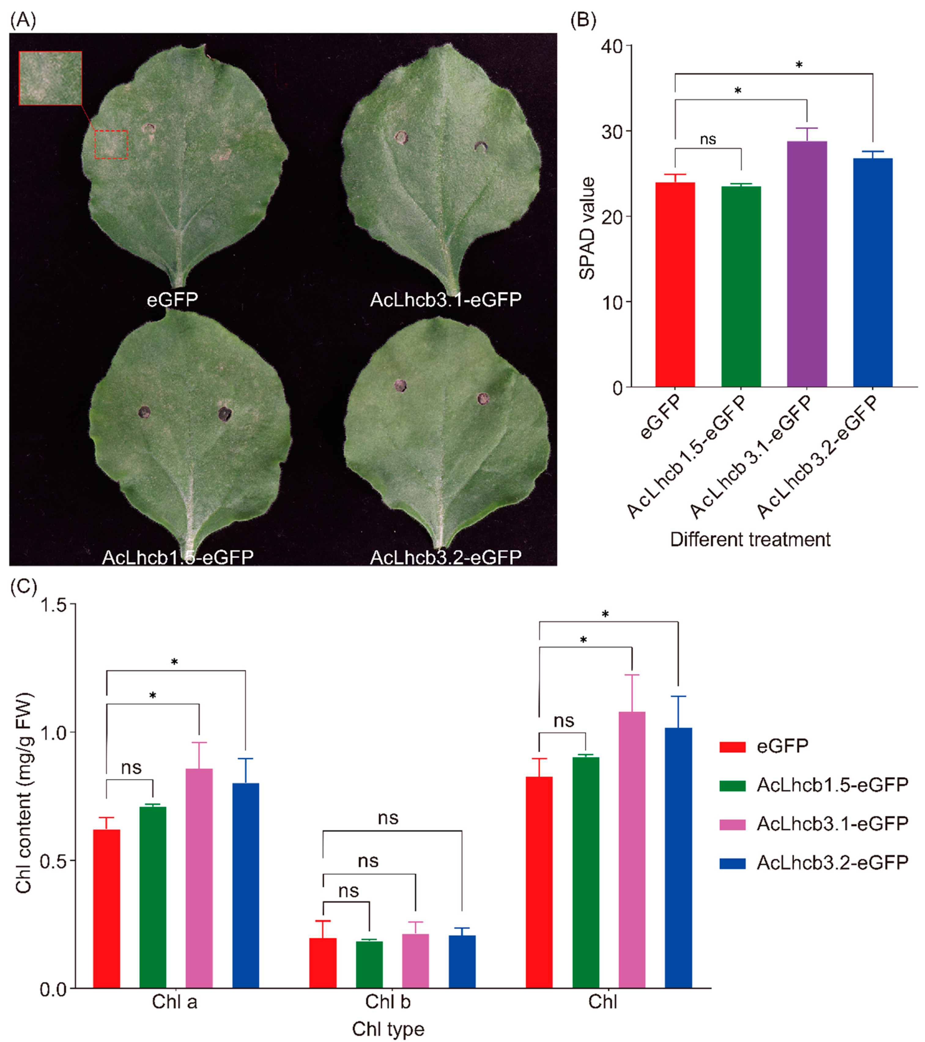 Ijms 23 06528 g006 550
