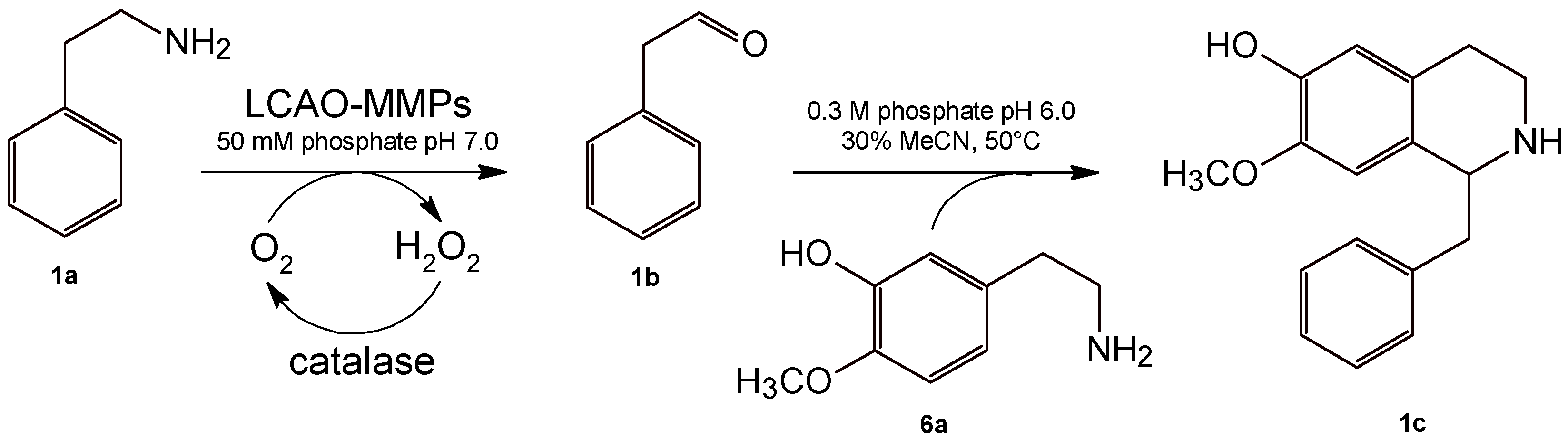 Ijms 23 06529 sch002