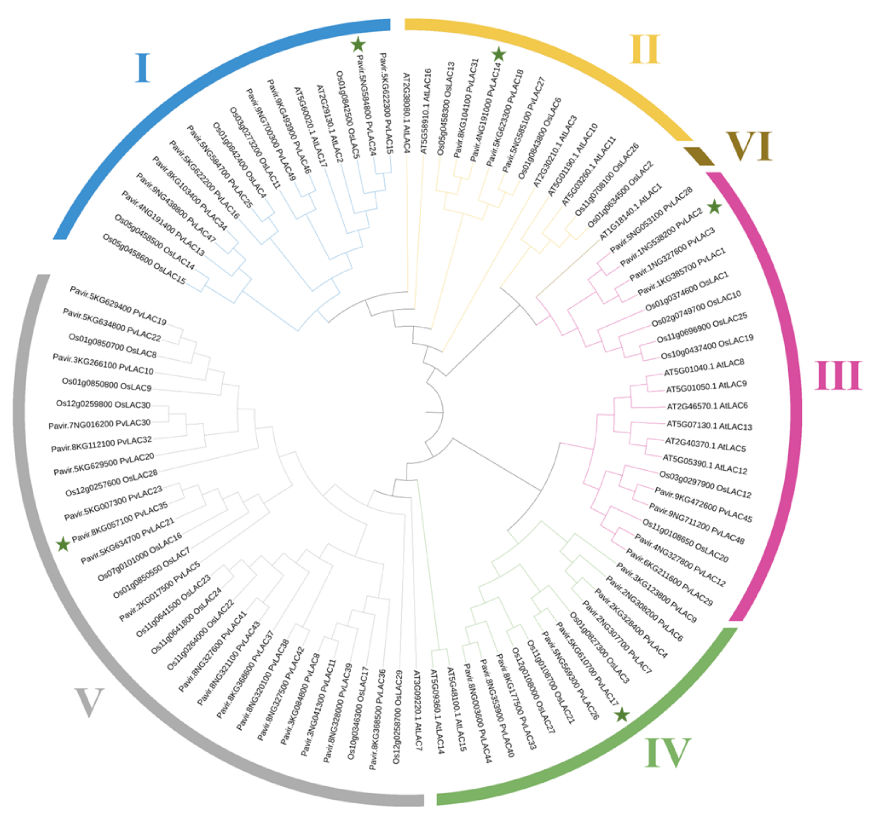 Ijms 23 06530 g002 550